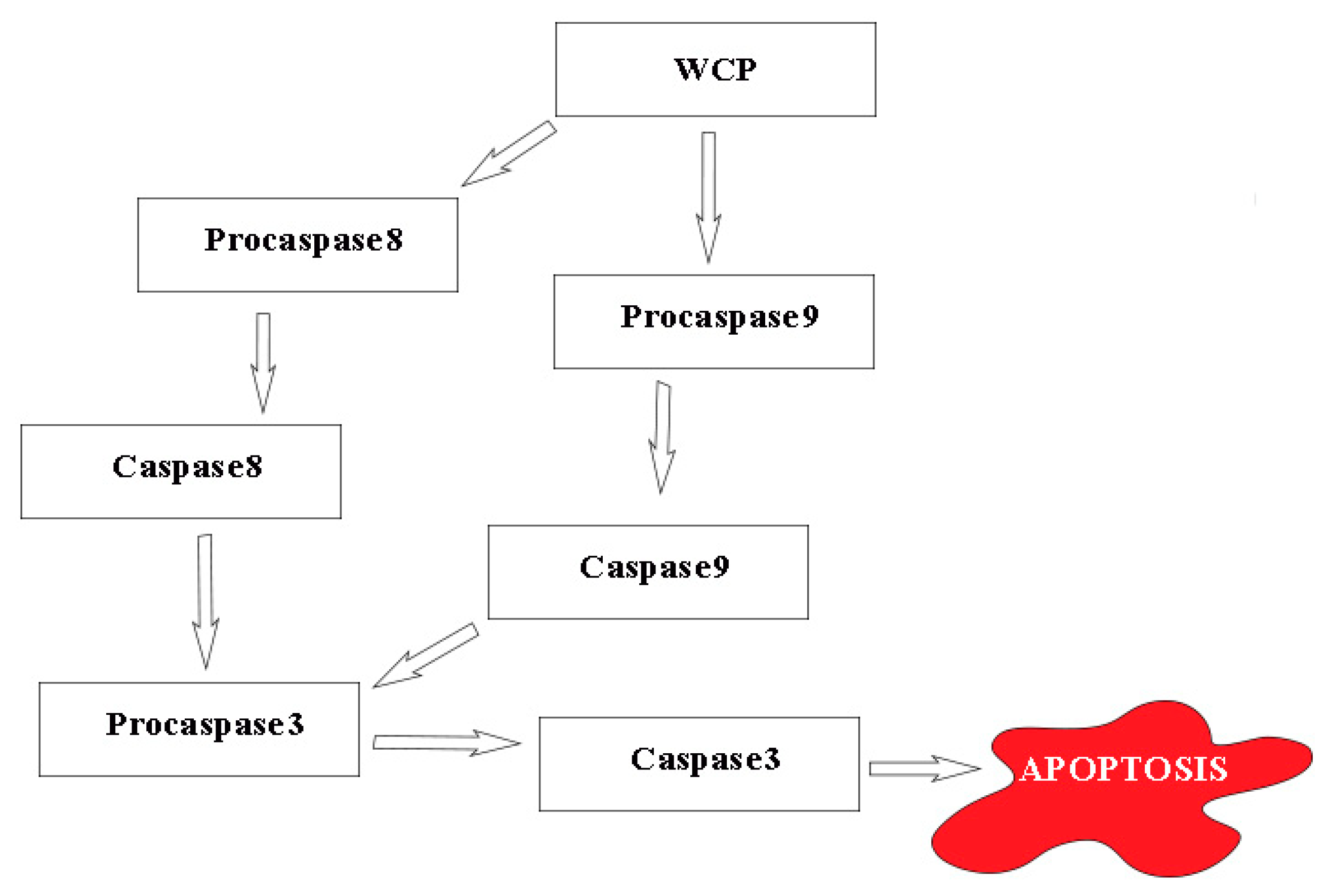 Antioxidants 08 00211 g002