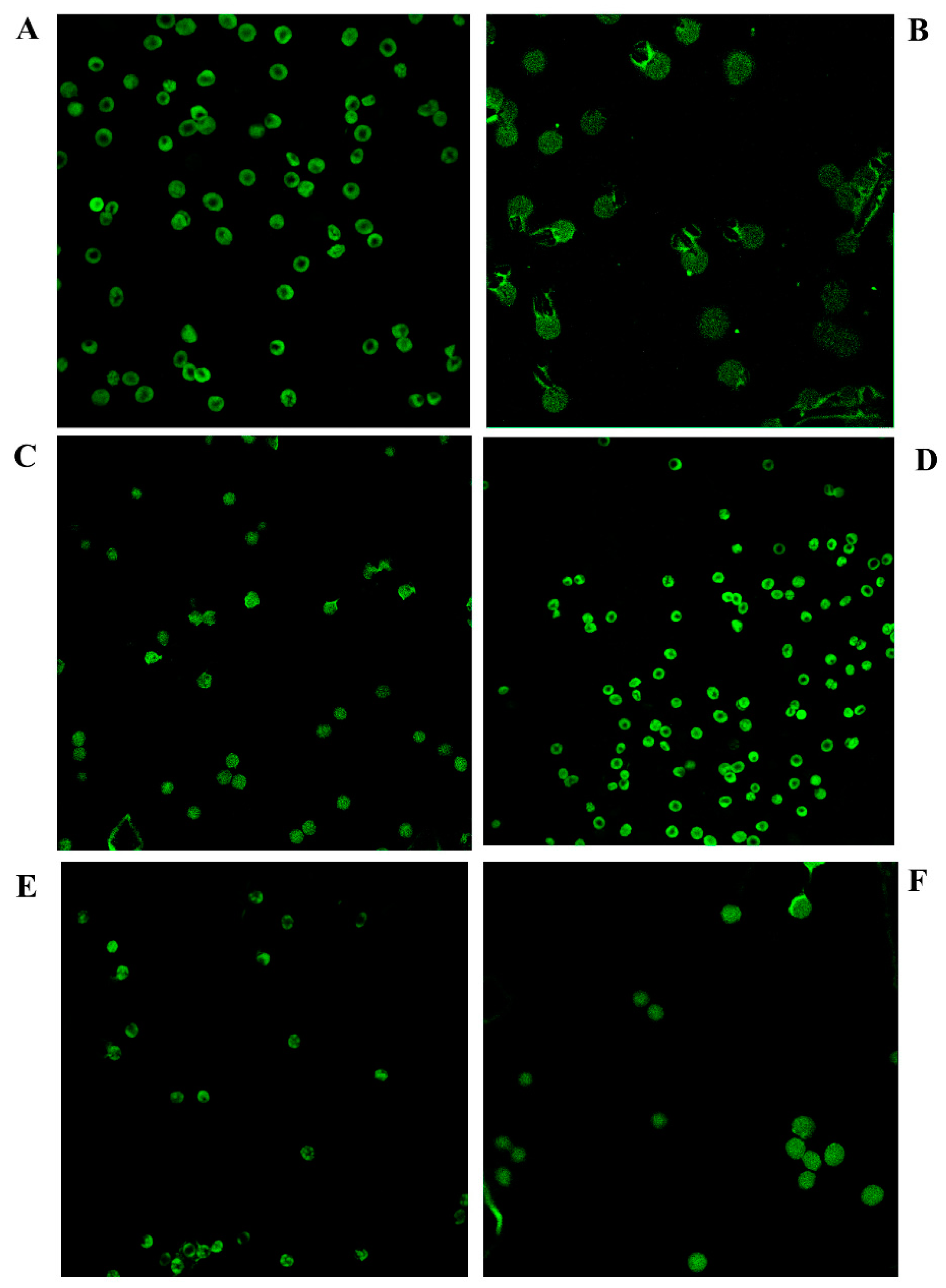 Antioxidants 08 00220 g007
