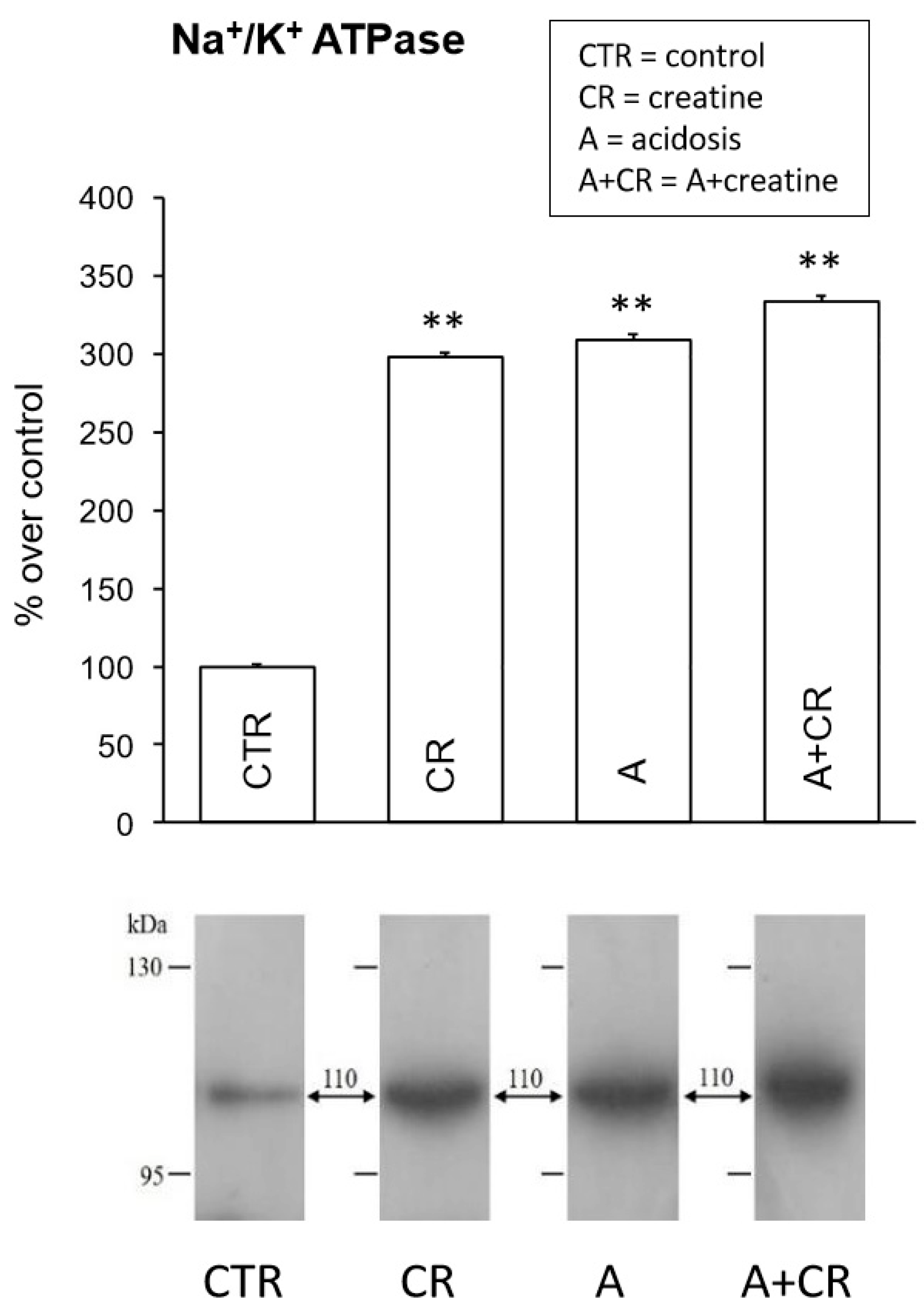 Antioxidants 08 00225 g006