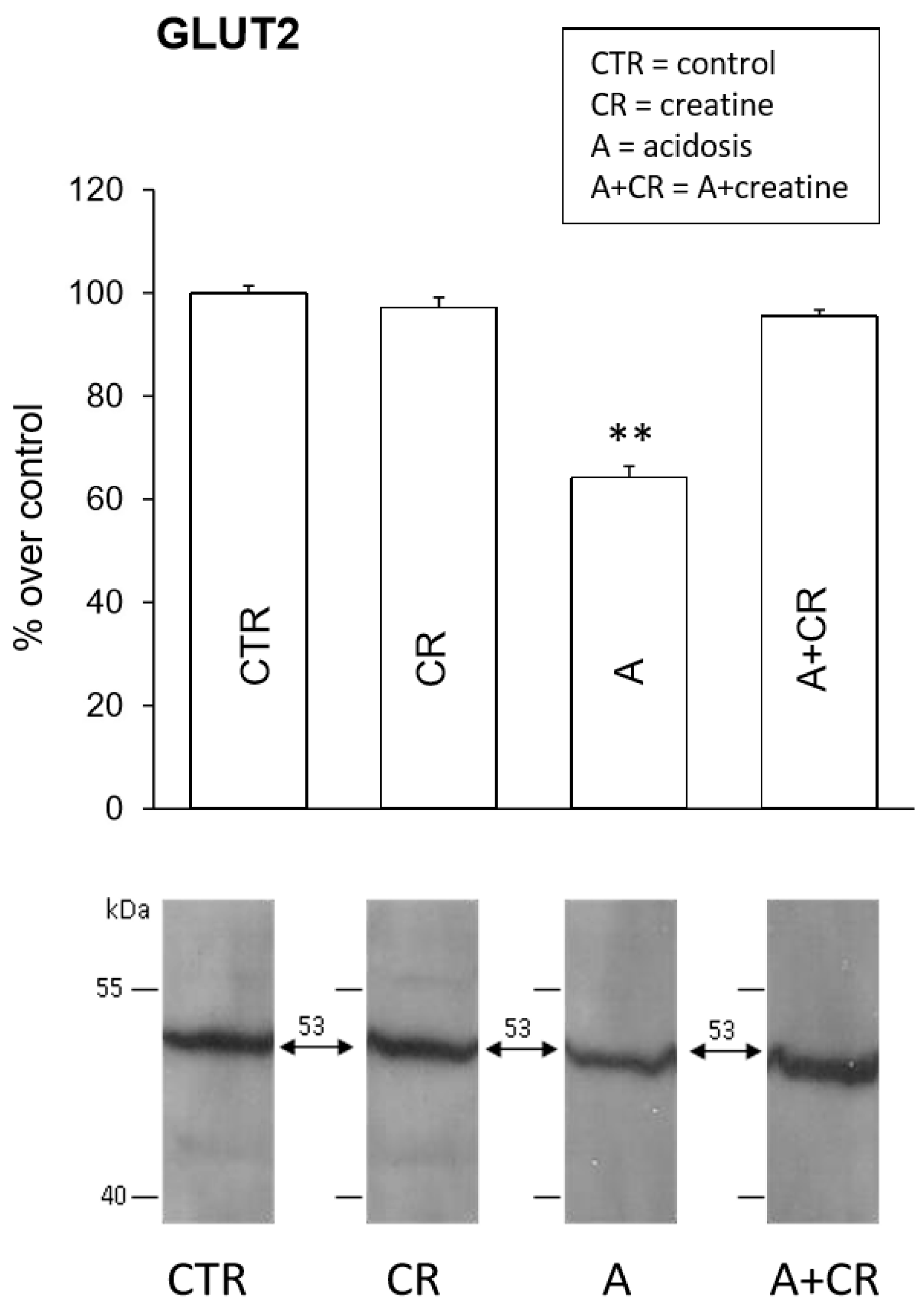 Antioxidants 08 00225 g007