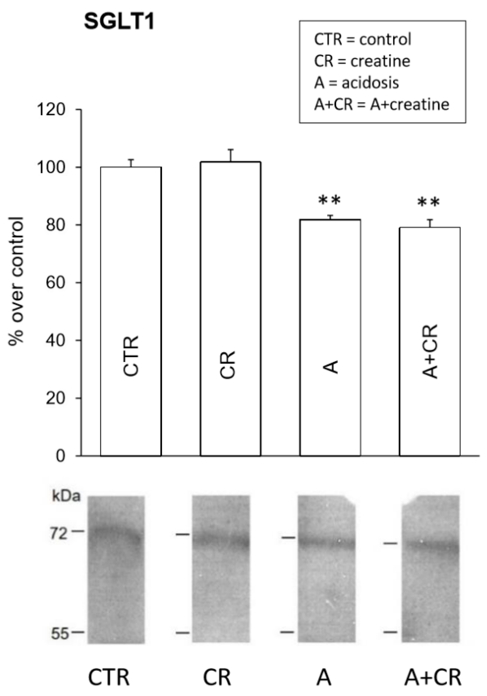 Antioxidants 08 00225 g008