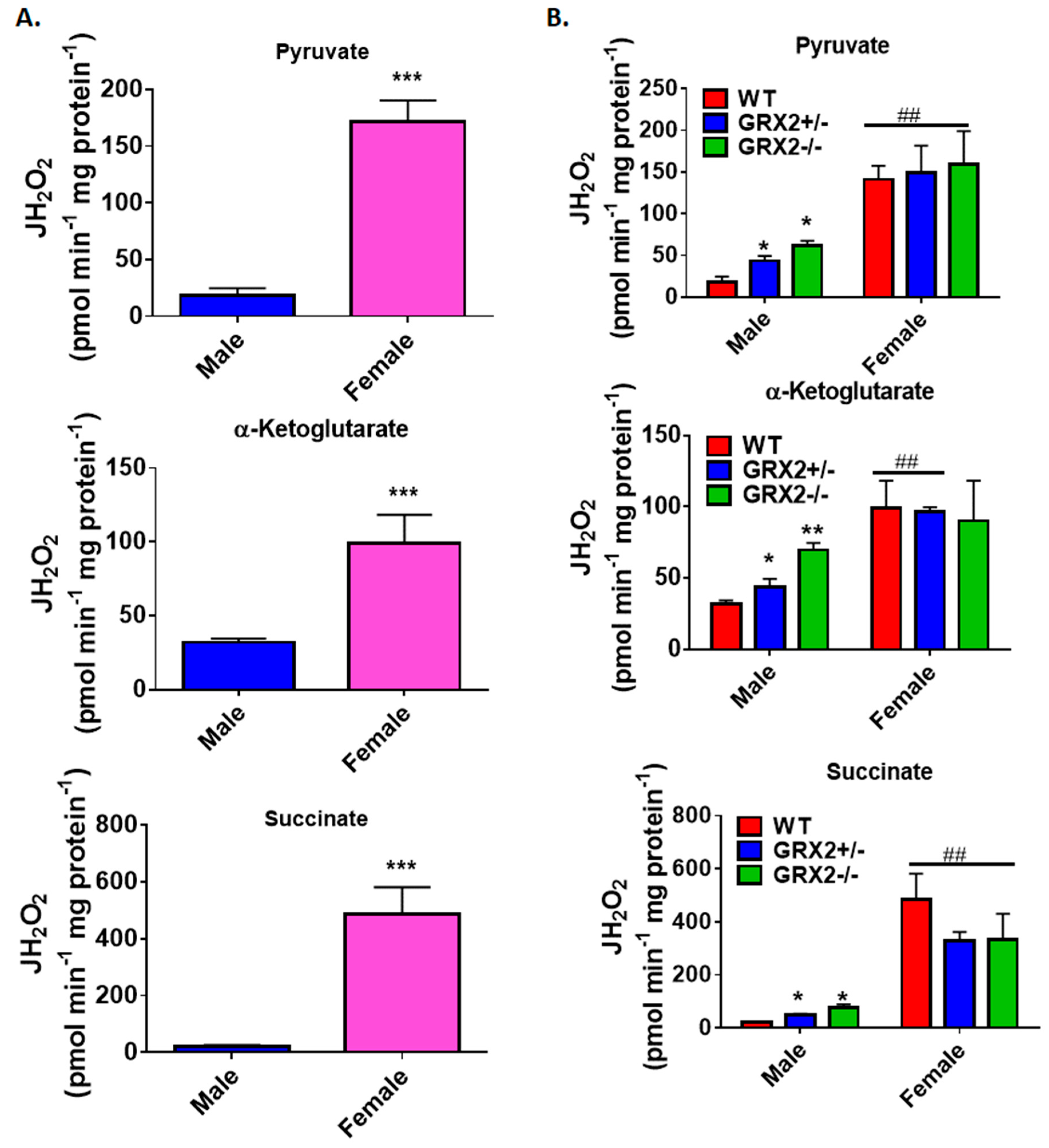 Antioxidants 08 00245 g005
