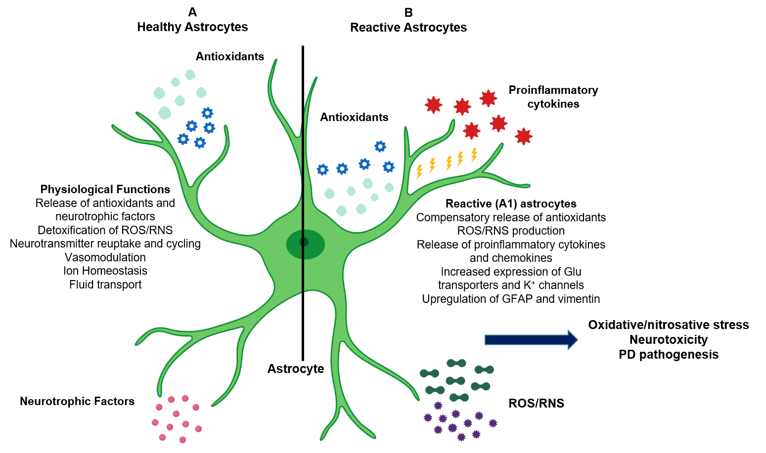 Antioxidants 08 00265 g001
