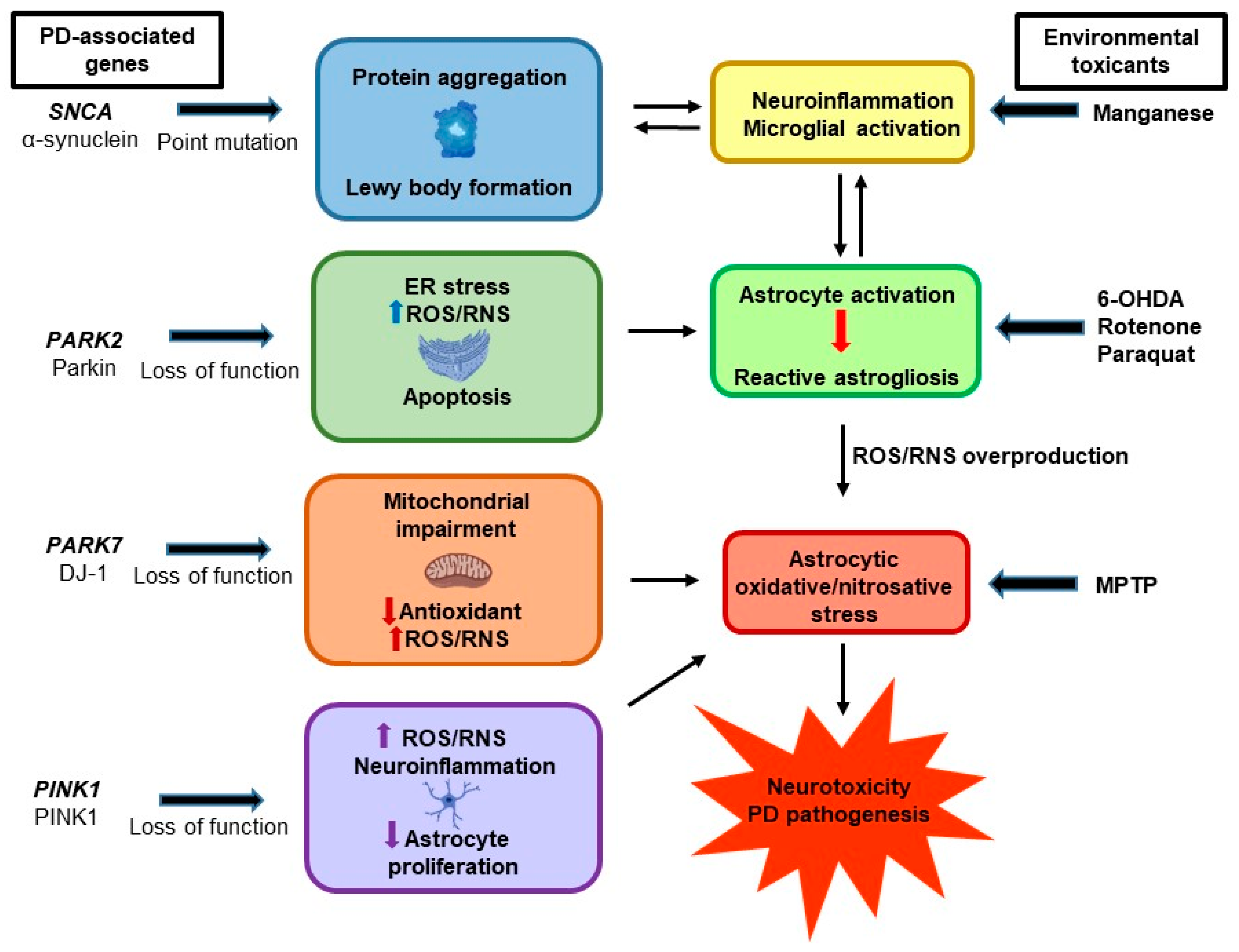 Antioxidants 08 00265 g002