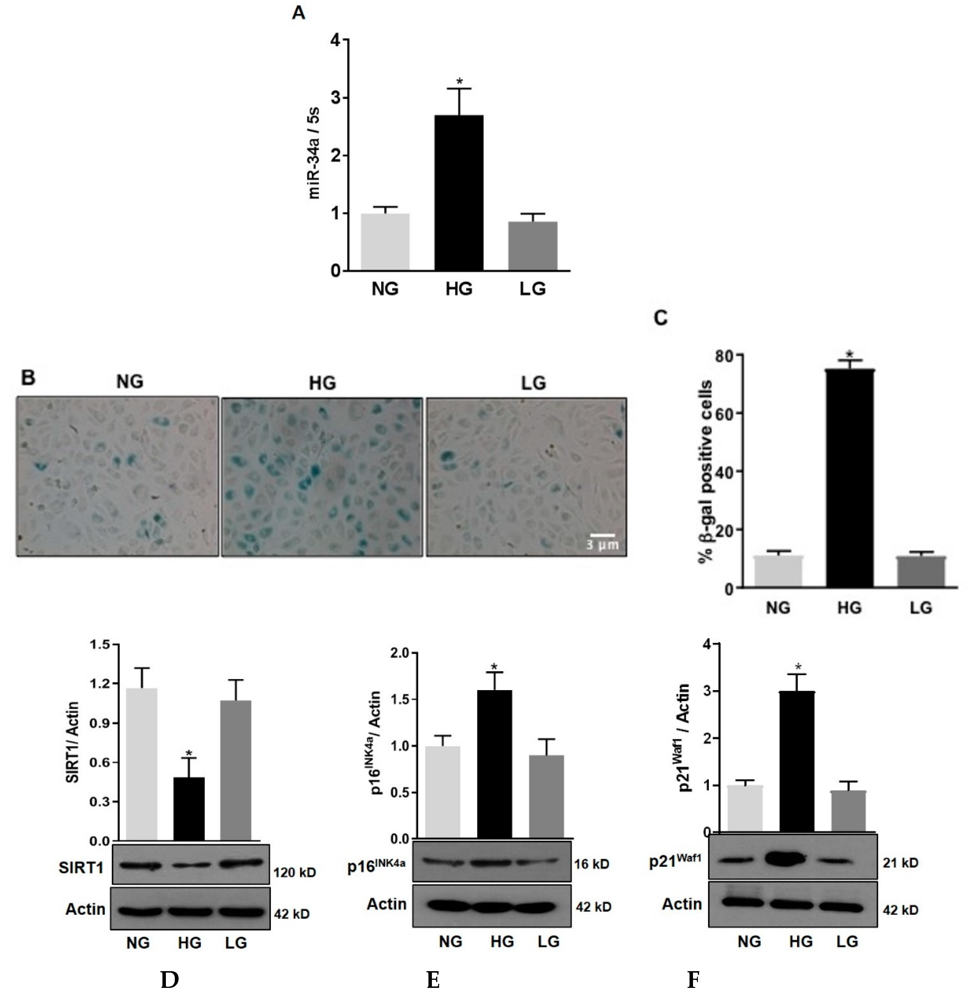 Antioxidants 08 00328 g001