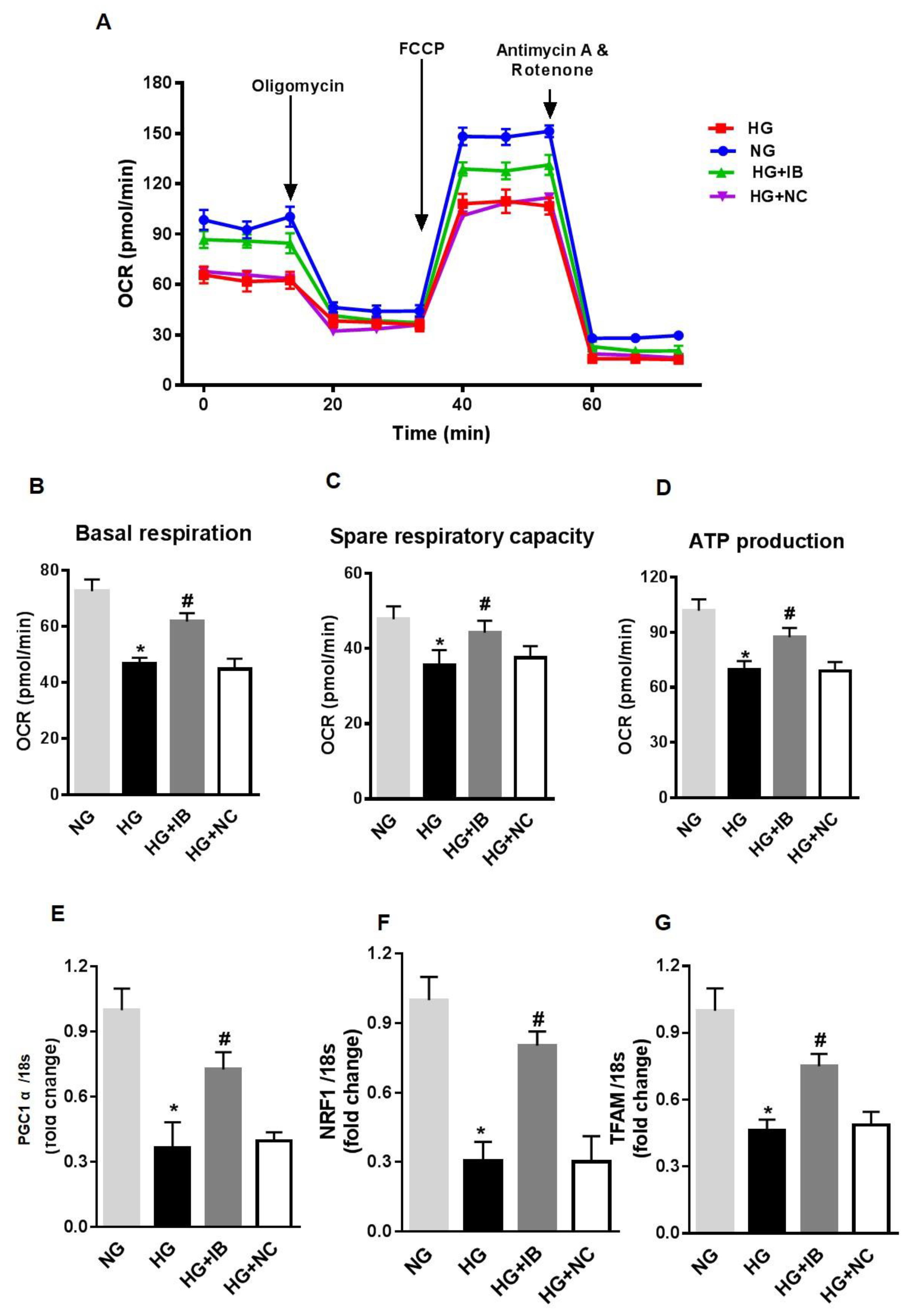 Antioxidants 08 00328 g005