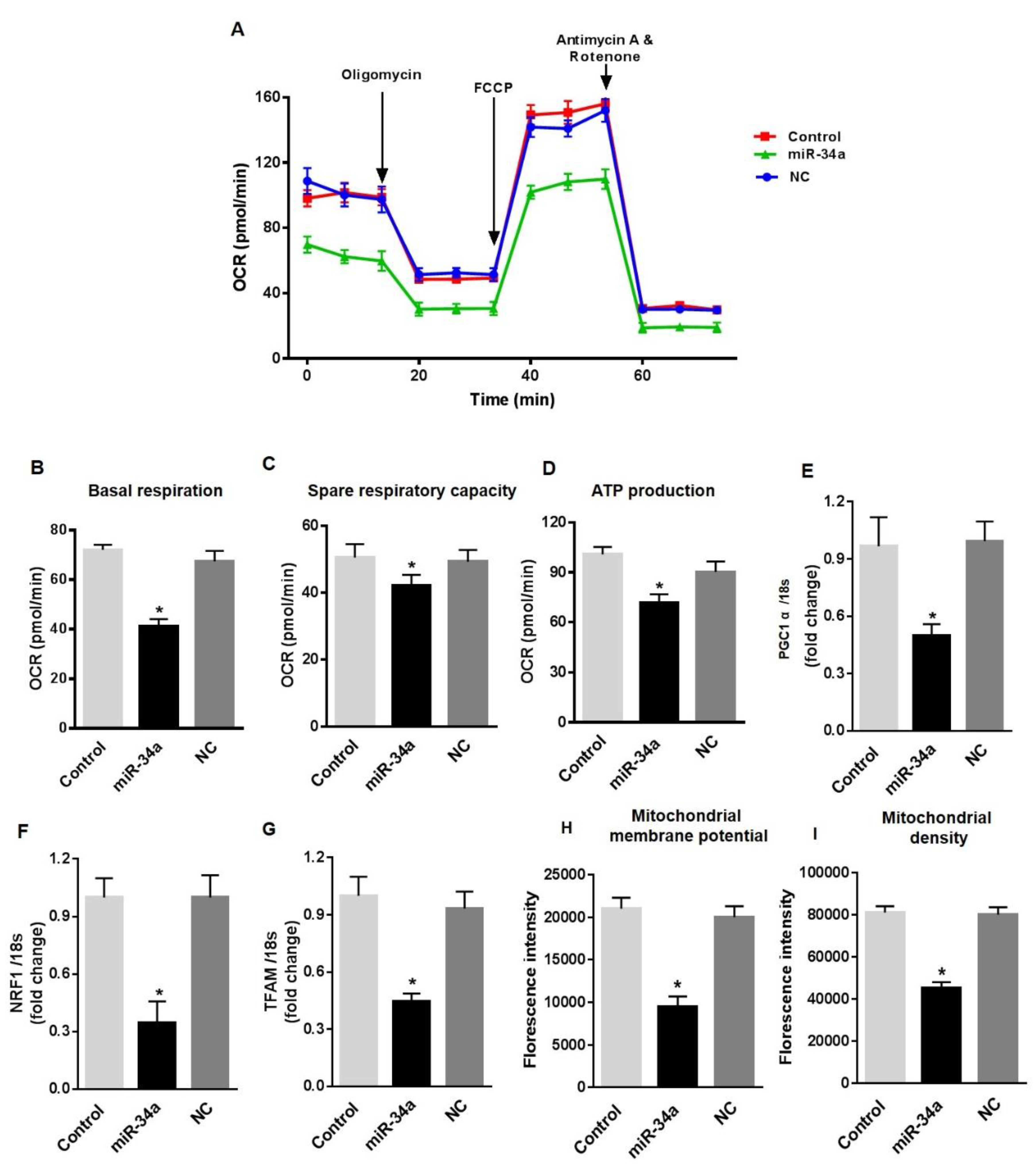 Antioxidants 08 00328 g006