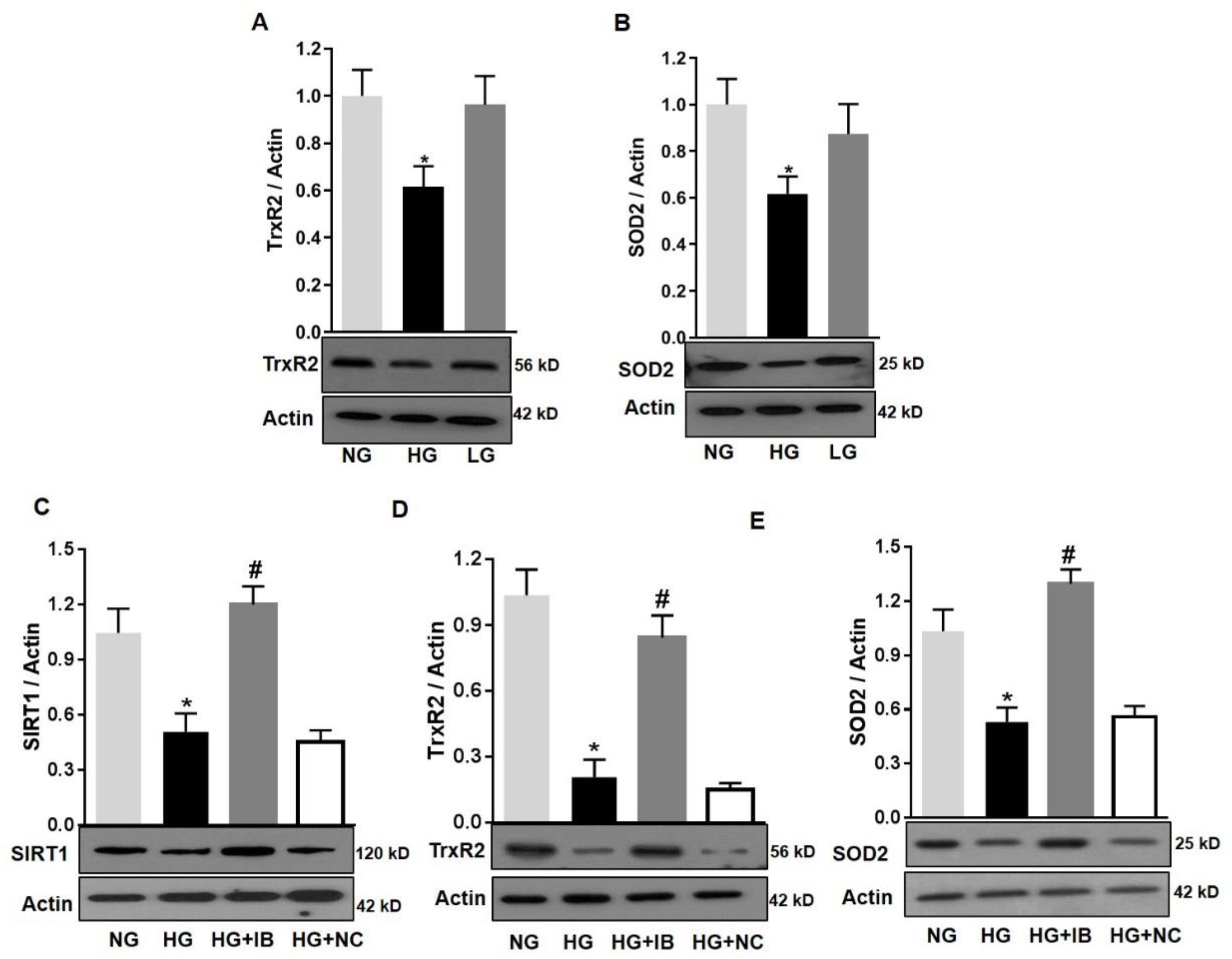 Antioxidants 08 00328 g008