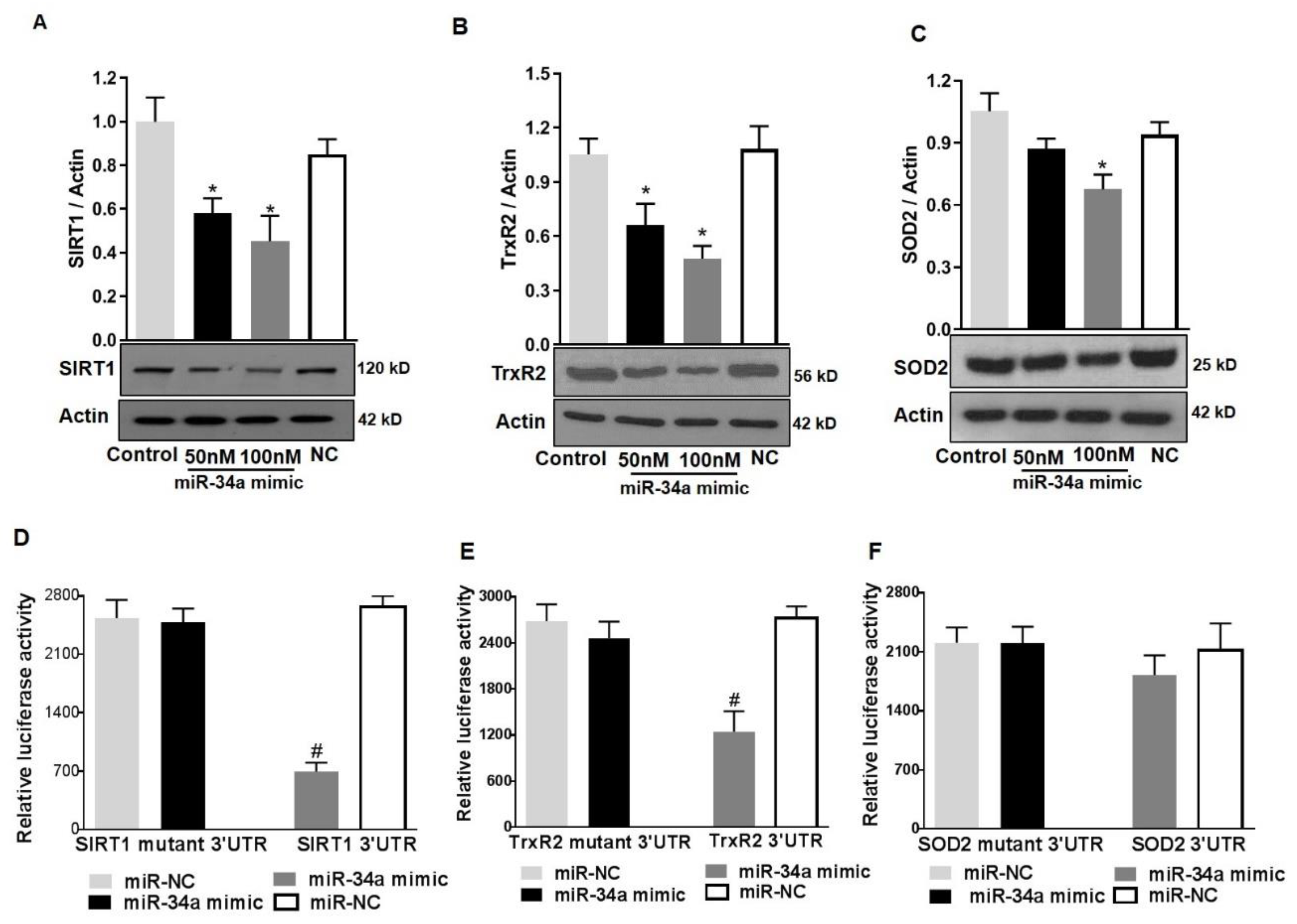 Antioxidants 08 00328 g009