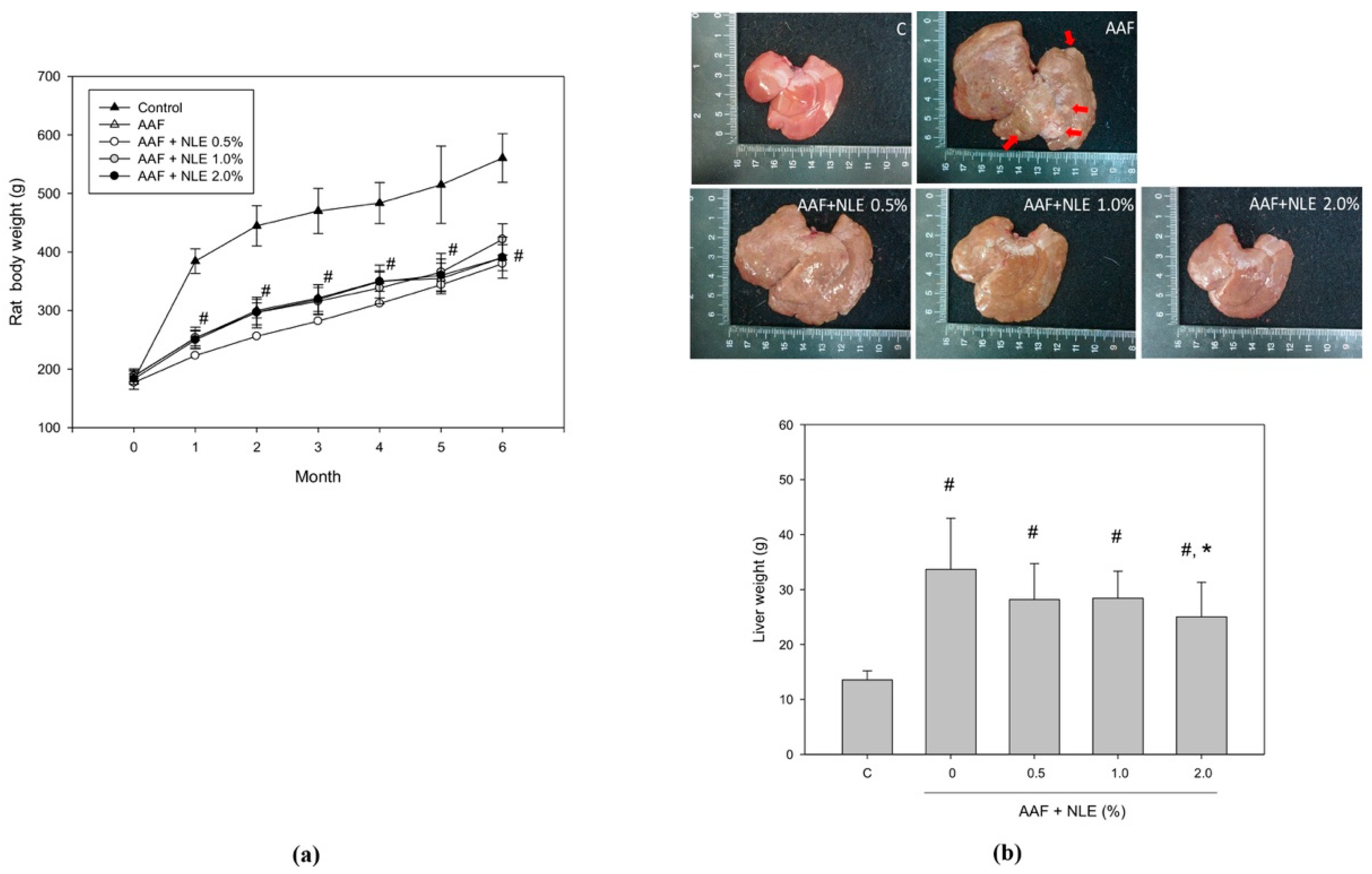 Antioxidants 08 00329 g002 Antioxidants 08 00329 g002