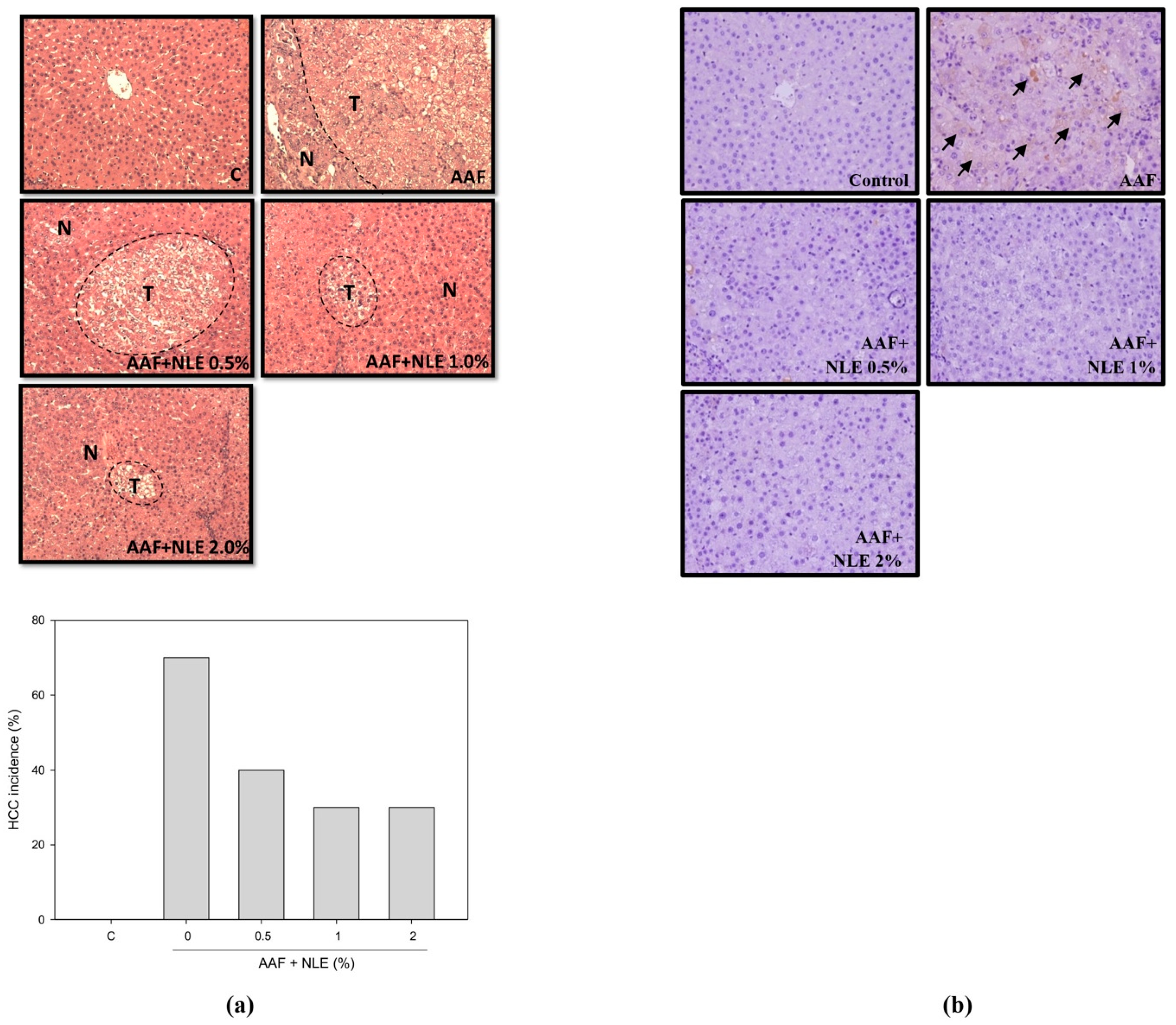 Antioxidants 08 00329 g005 Antioxidants 08 00329 g005