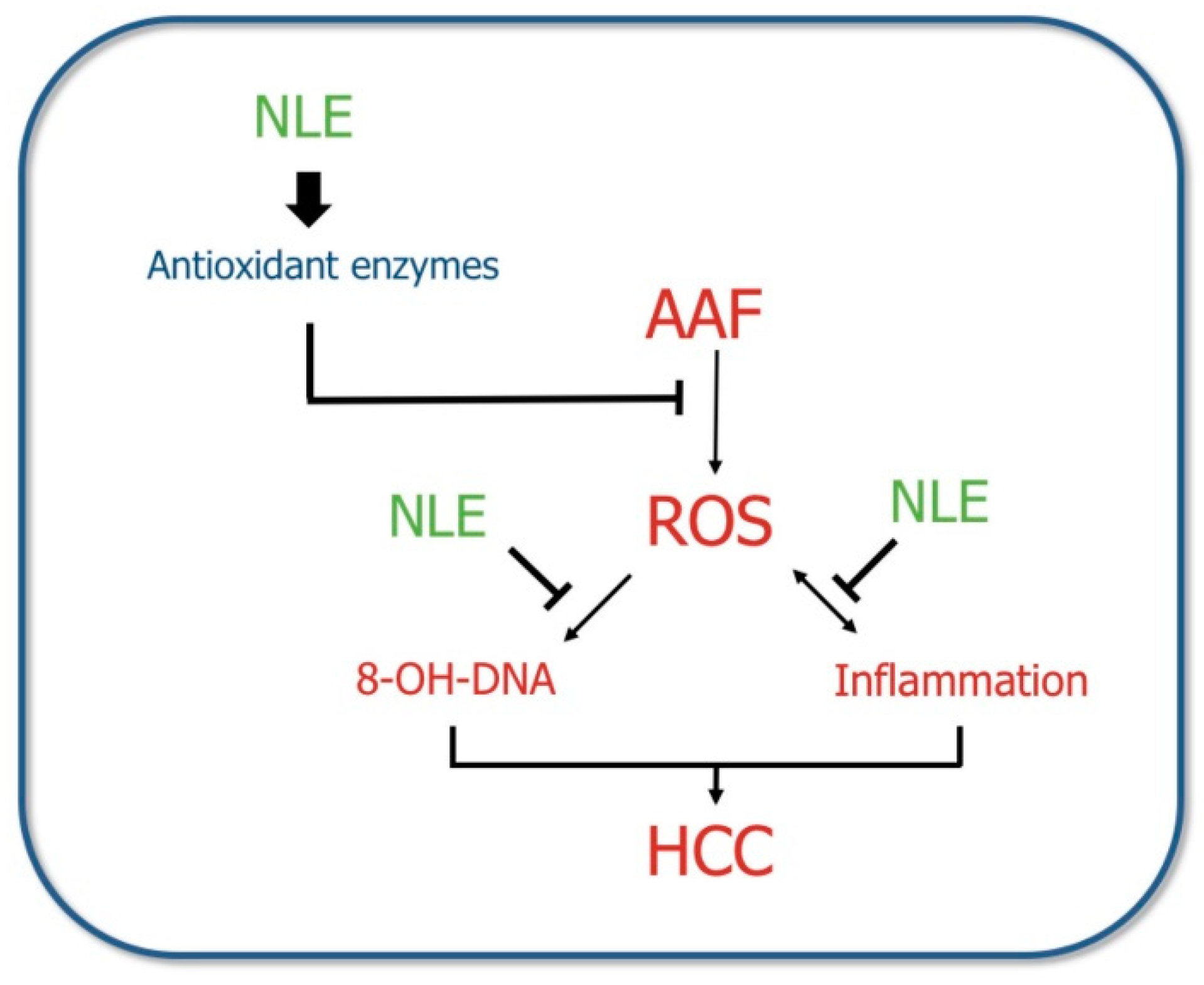 Antioxidants 08 00329 g007 Antioxidants 08 00329 g007