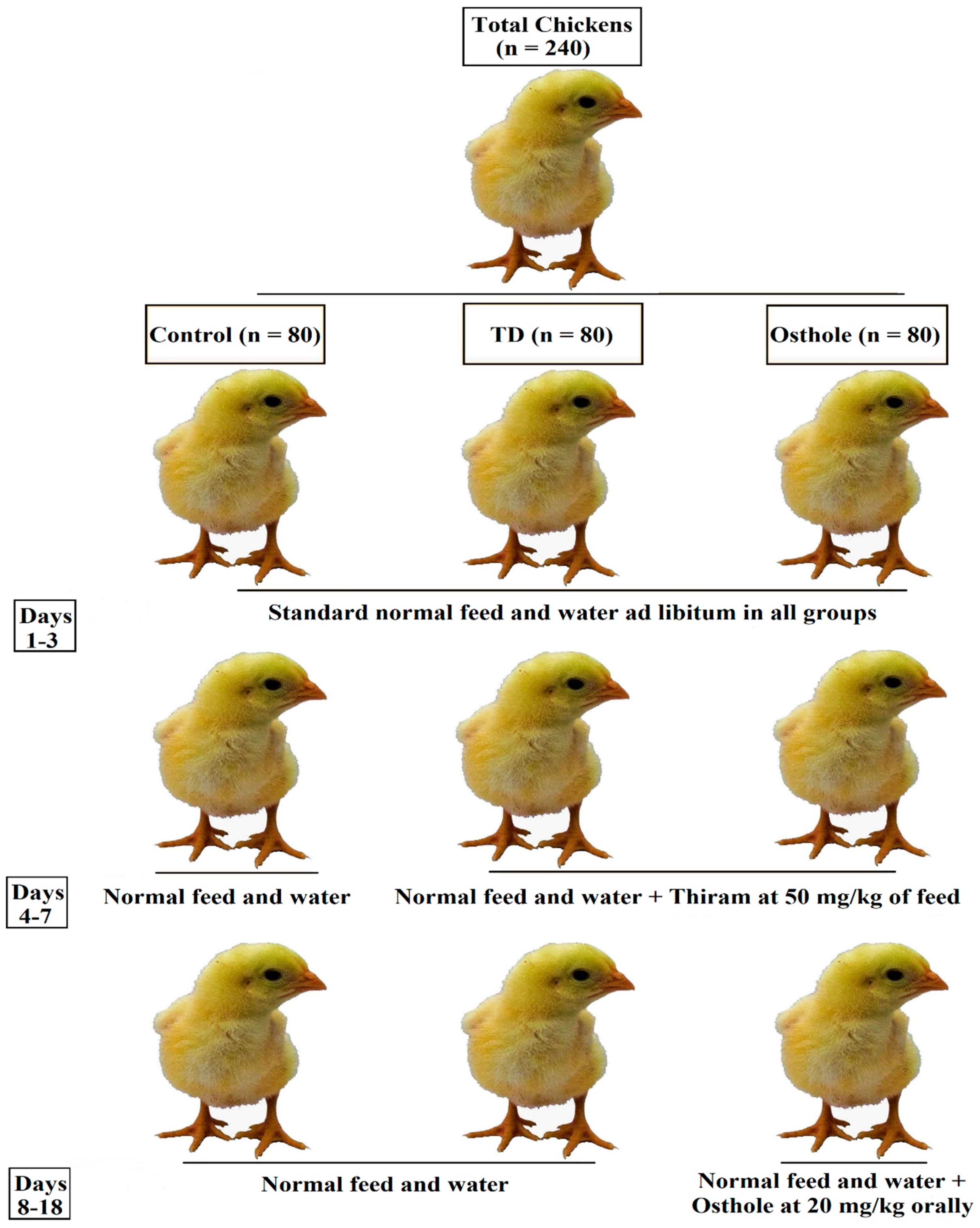 Antioxidants 08 00330 g002