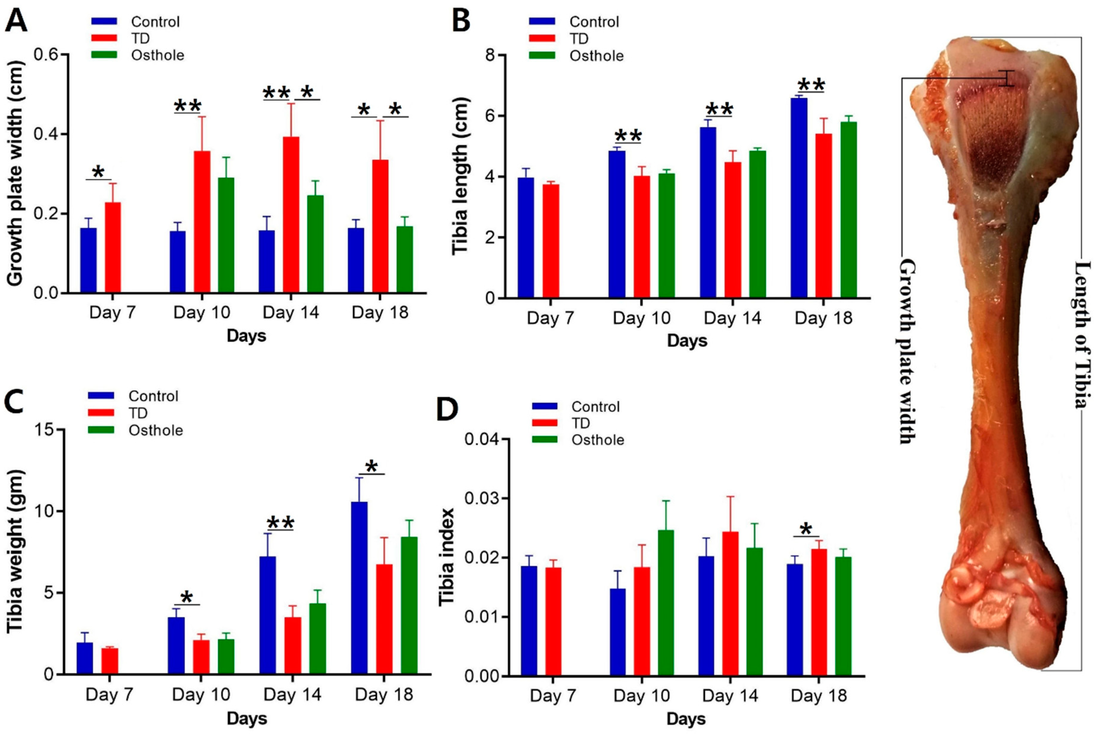 Antioxidants 08 00330 g006