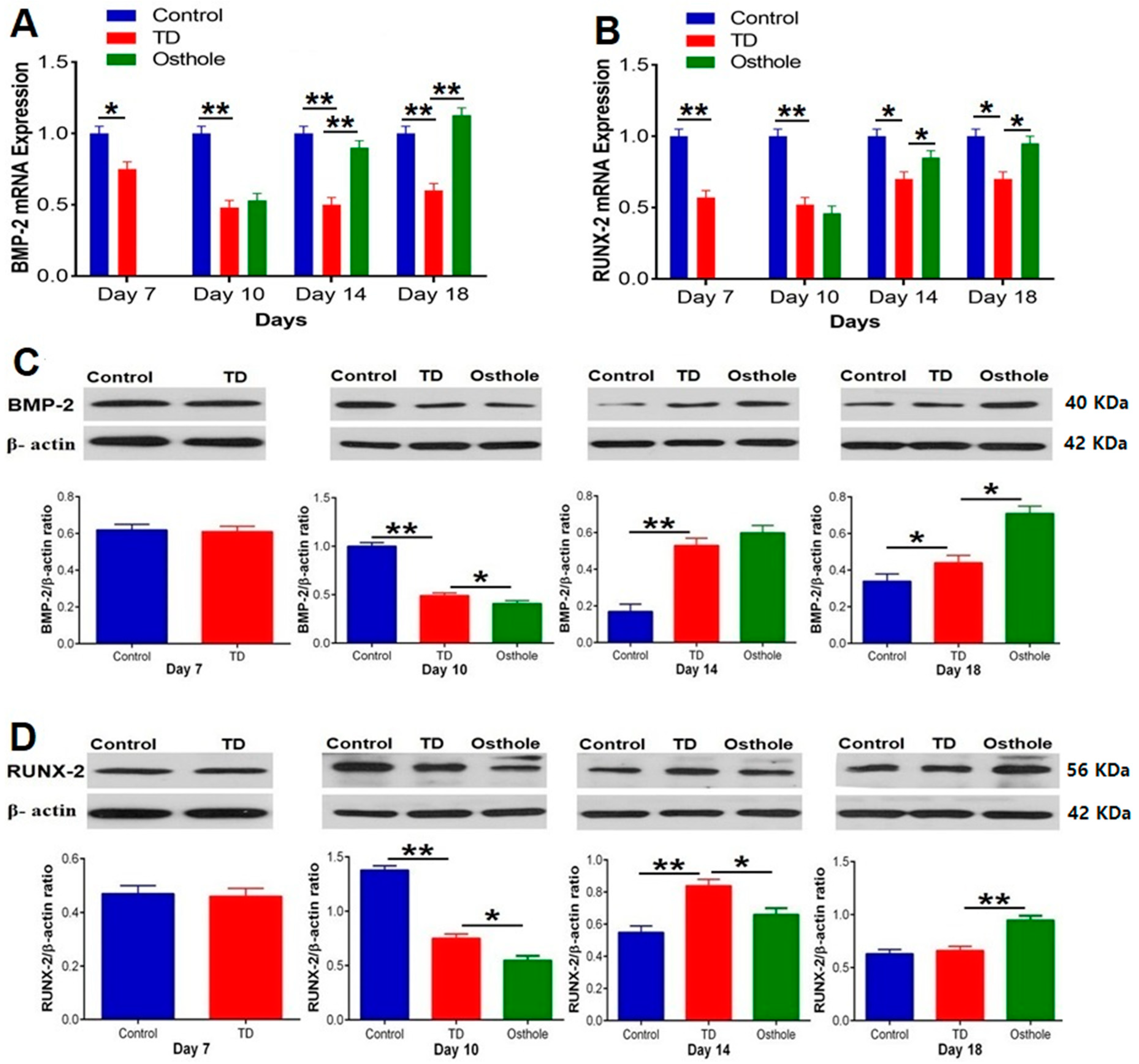 Antioxidants 08 00330 g011