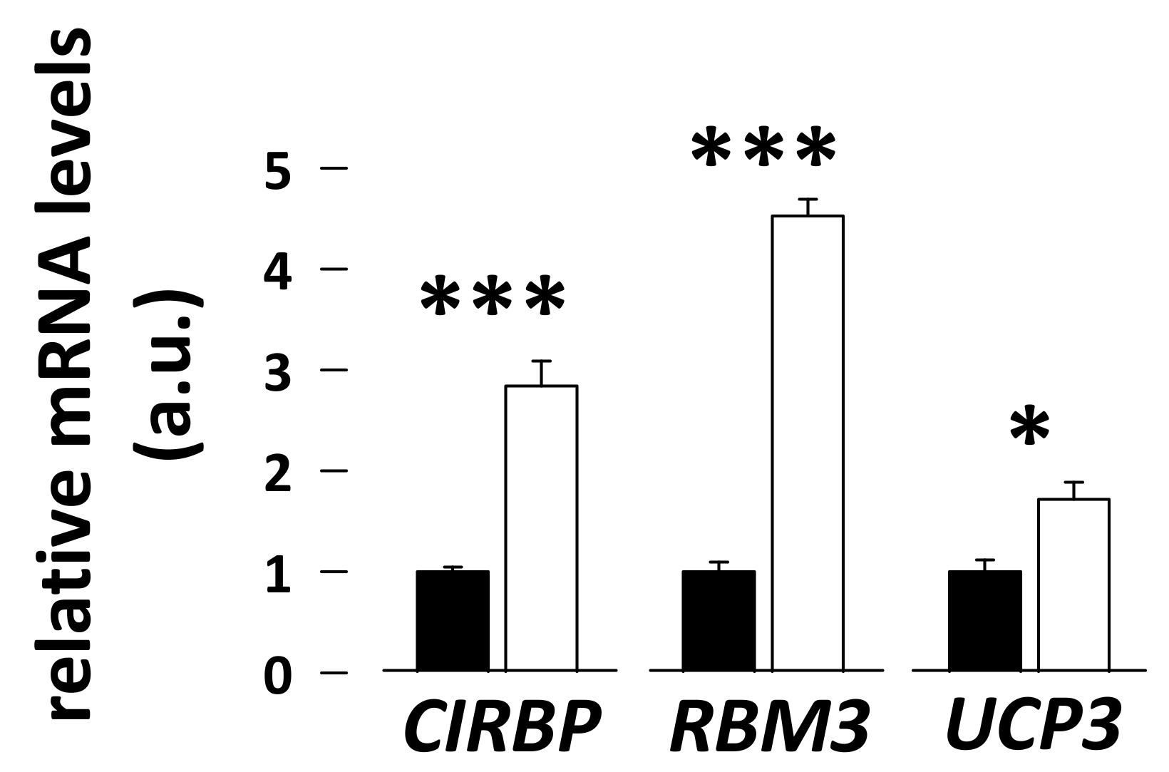 Antioxidants 08 00334 g001