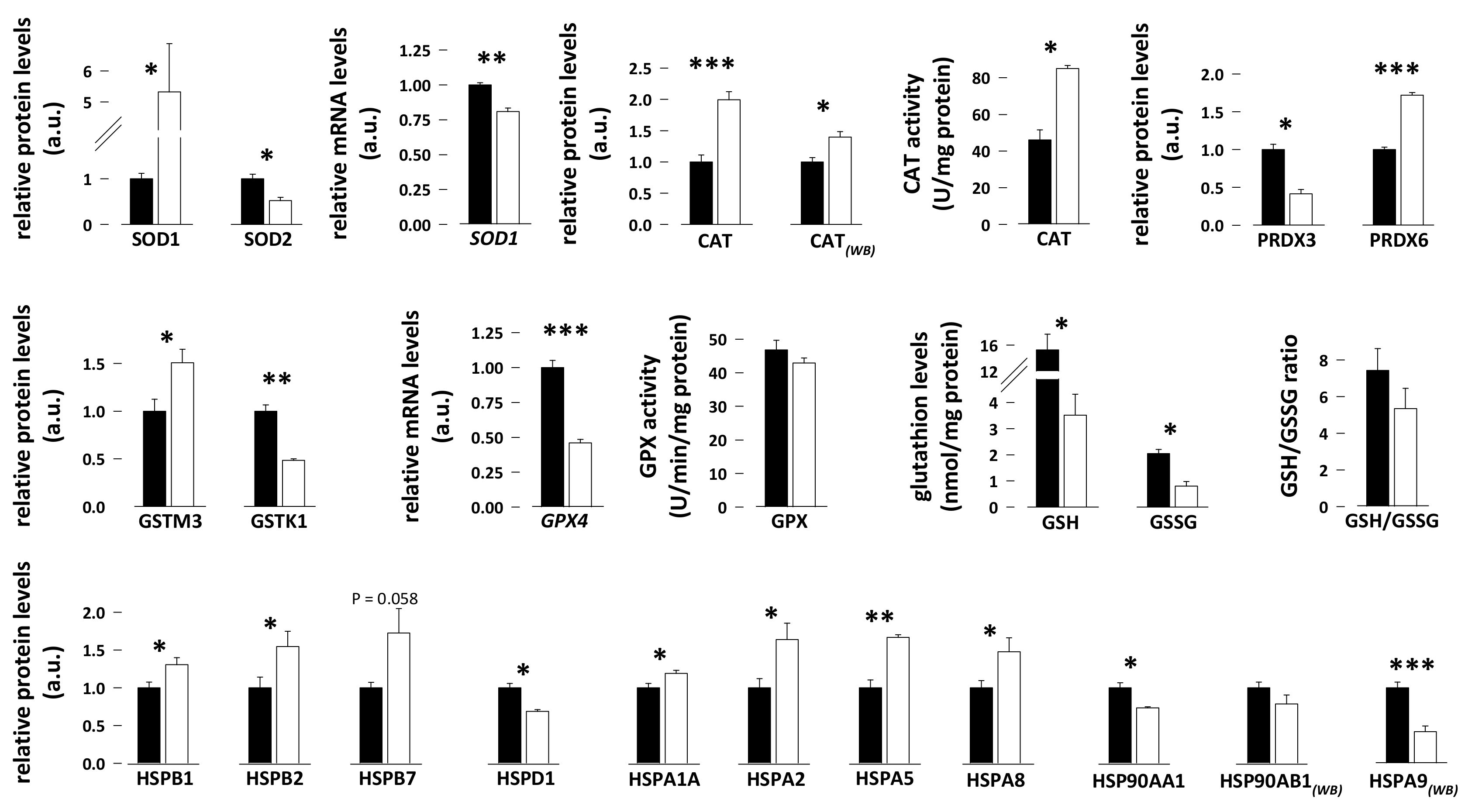 Antioxidants 08 00334 g003