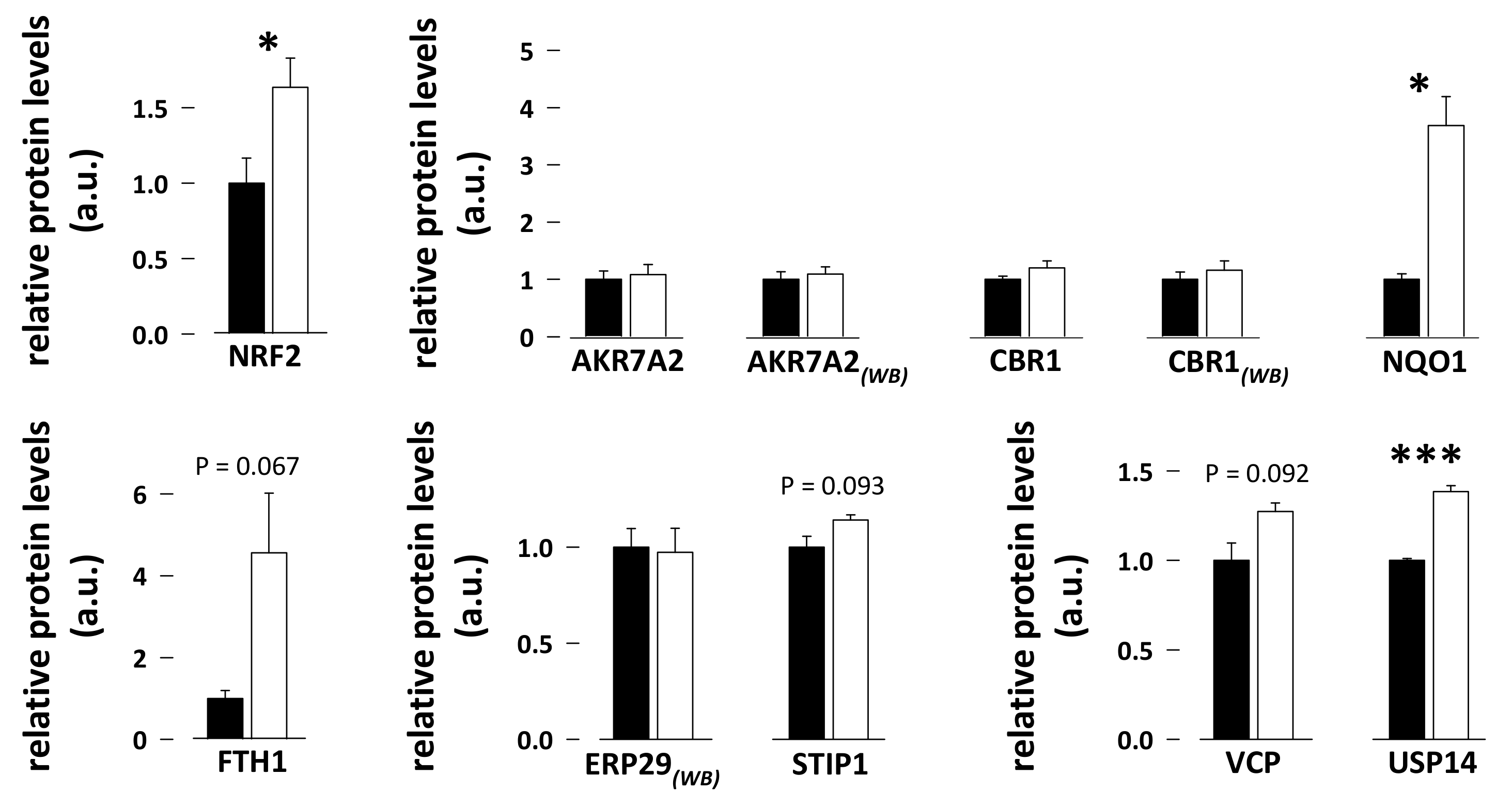 Antioxidants 08 00334 g005