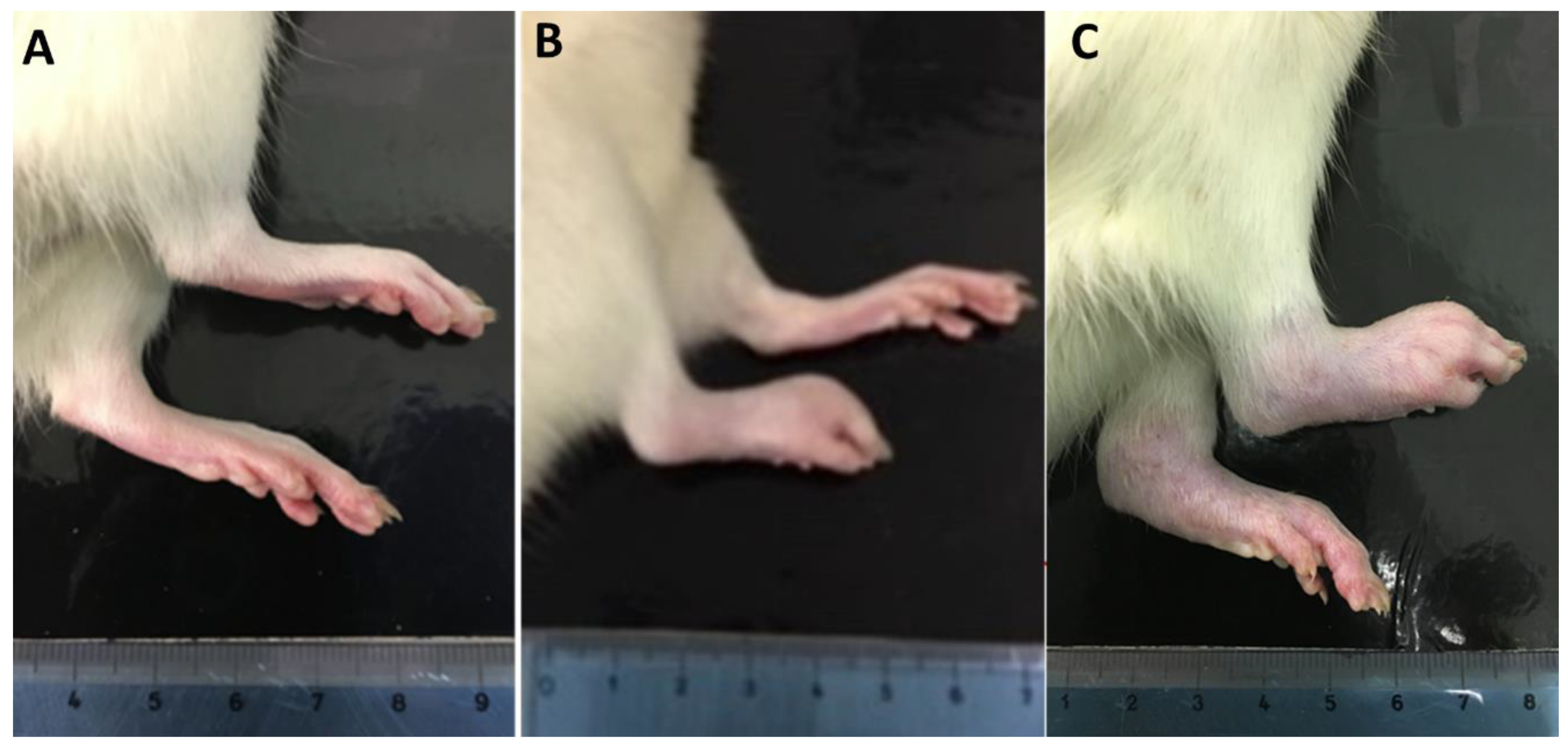Antioxidants 08 00342 g001 Antioxidants 08 00342 g001