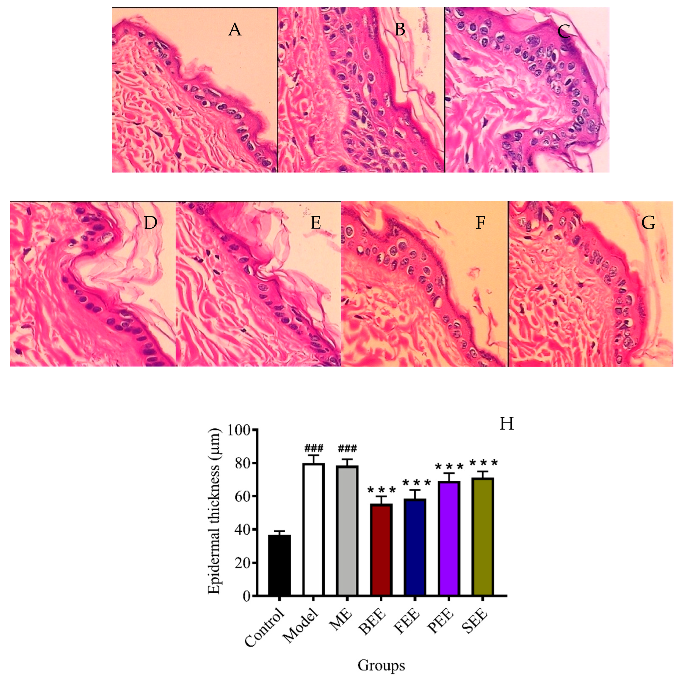 Antioxidants 08 00345 g003