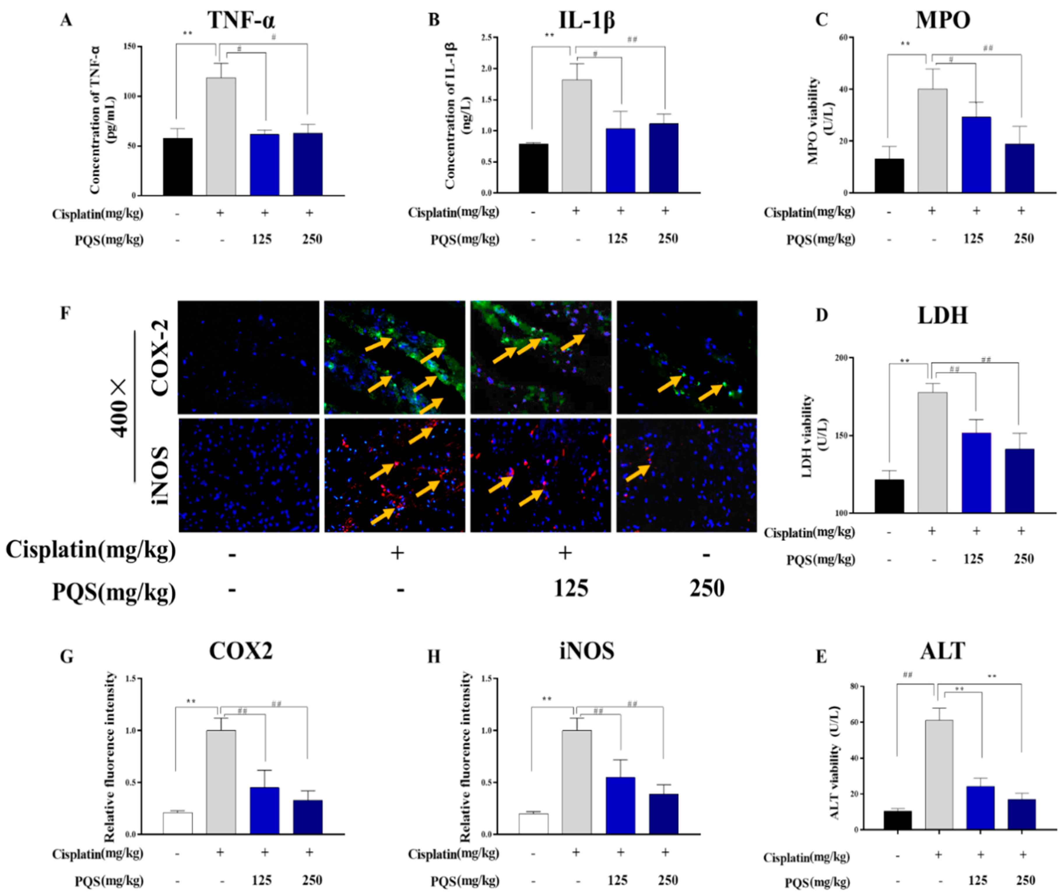 Antioxidants 08 00347 g004