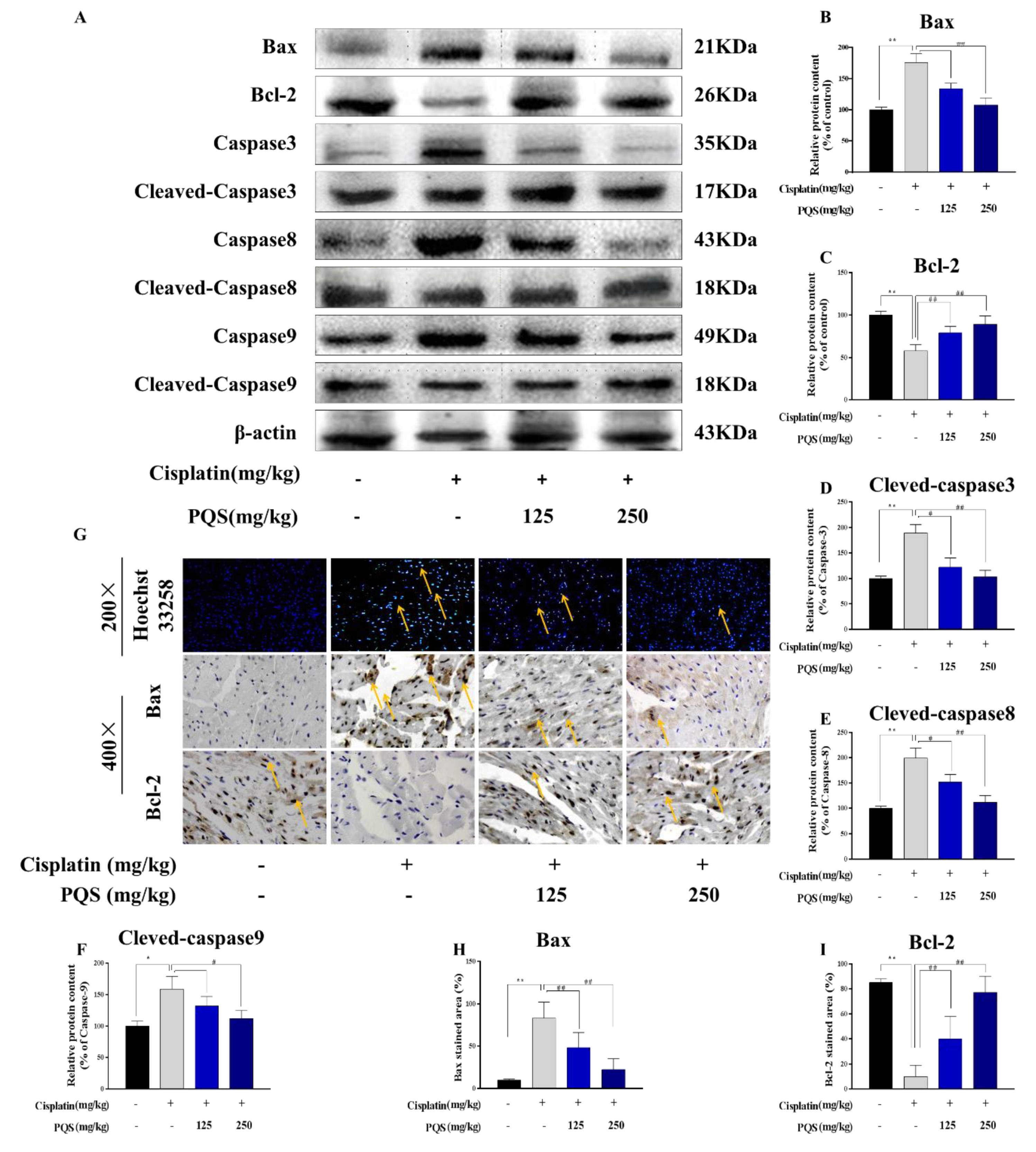 Antioxidants 08 00347 g007