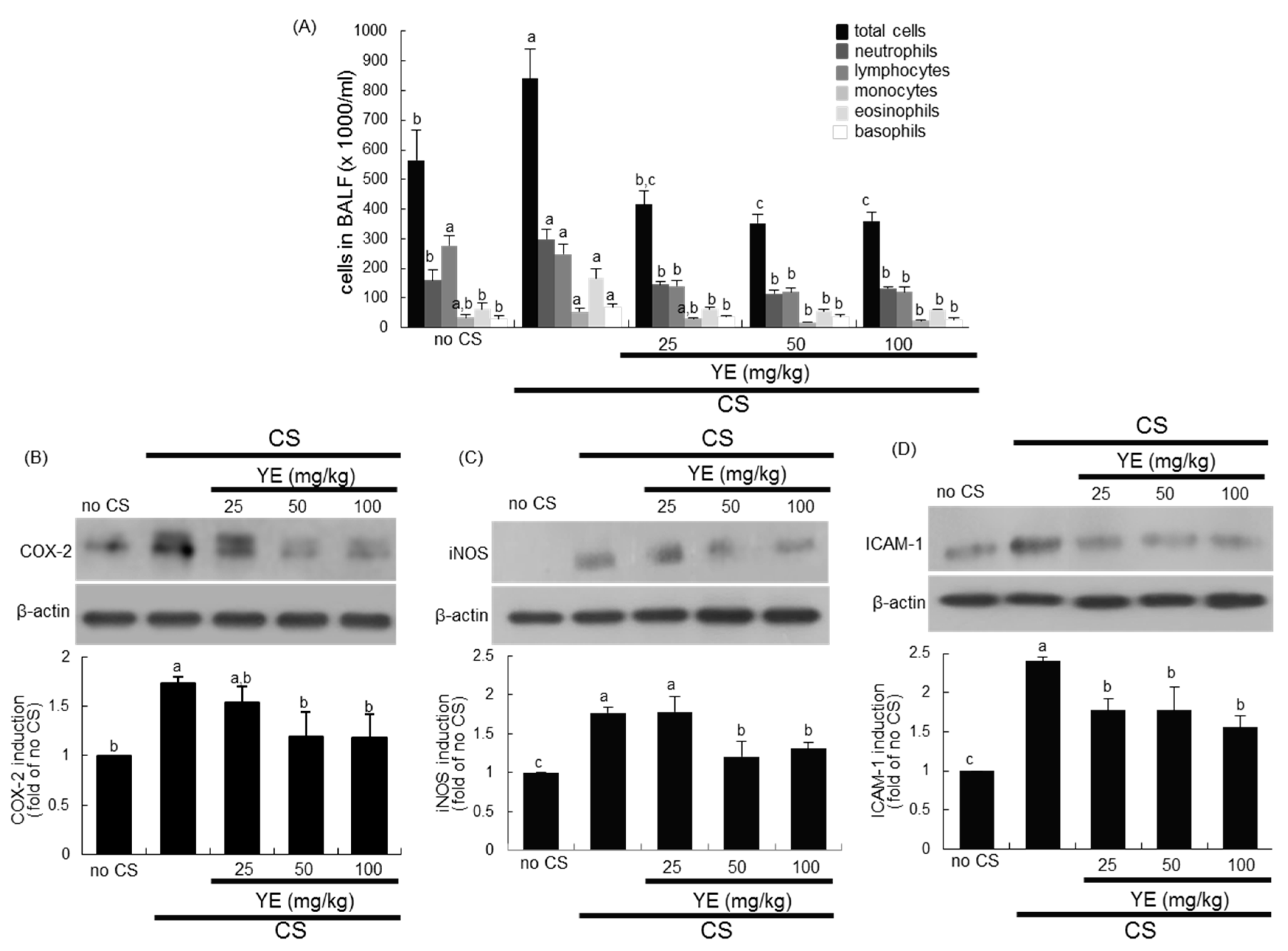 Antioxidants 08 00349 g001