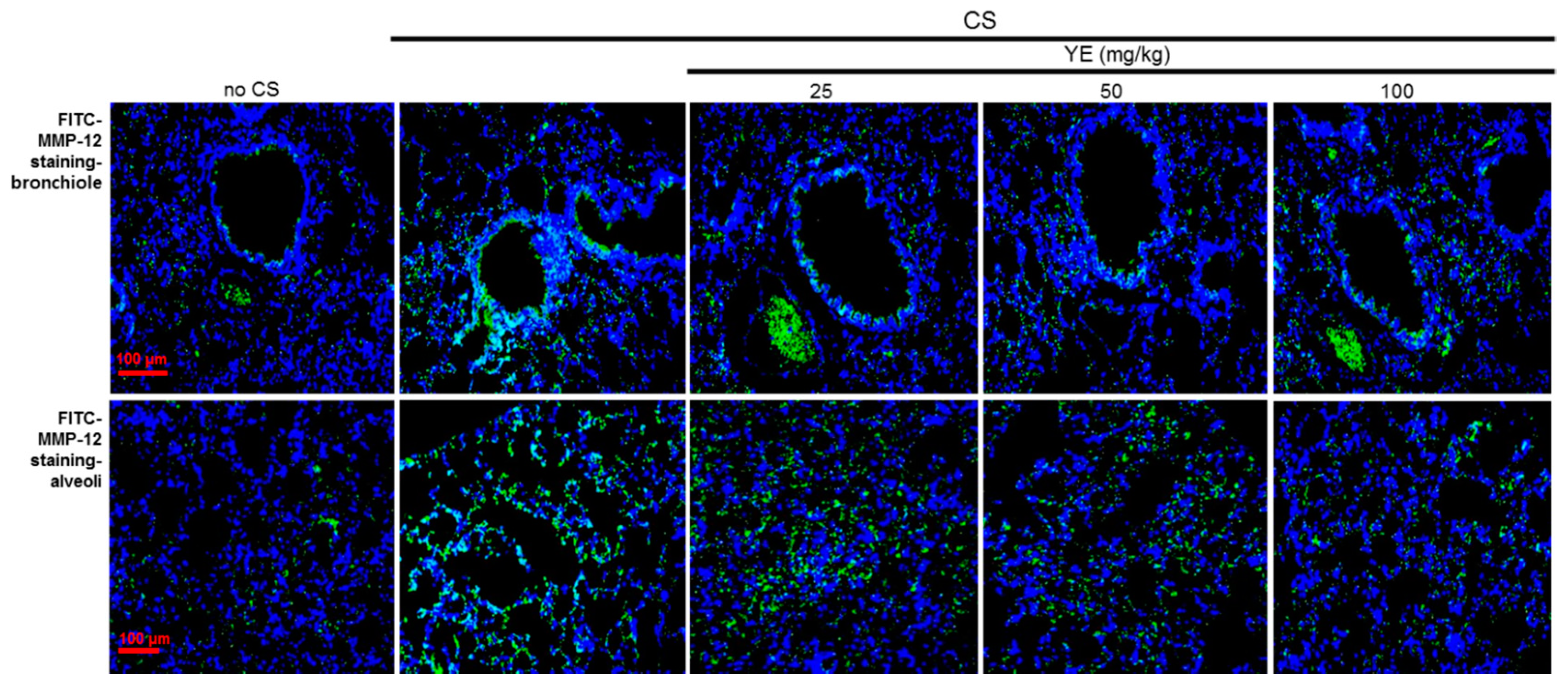 Antioxidants 08 00349 g003