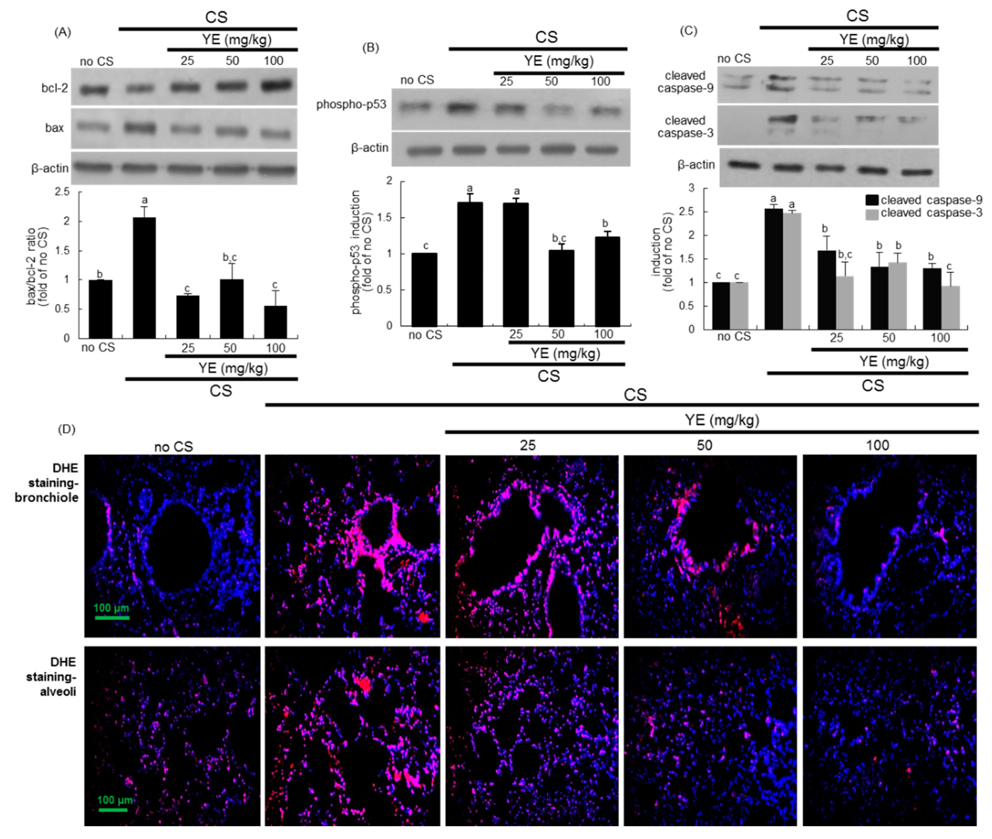 Antioxidants 08 00349 g004