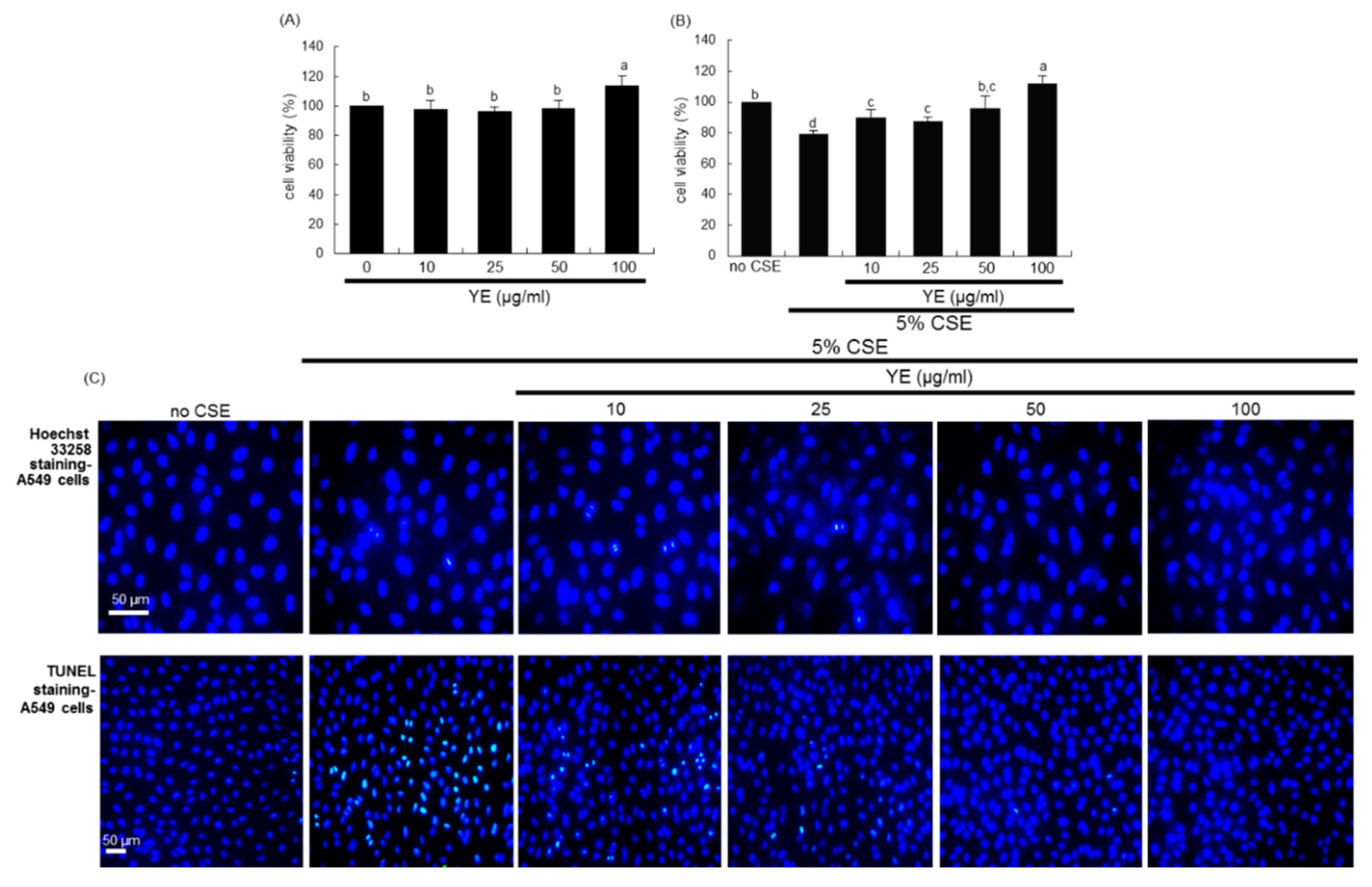 Antioxidants 08 00349 g005