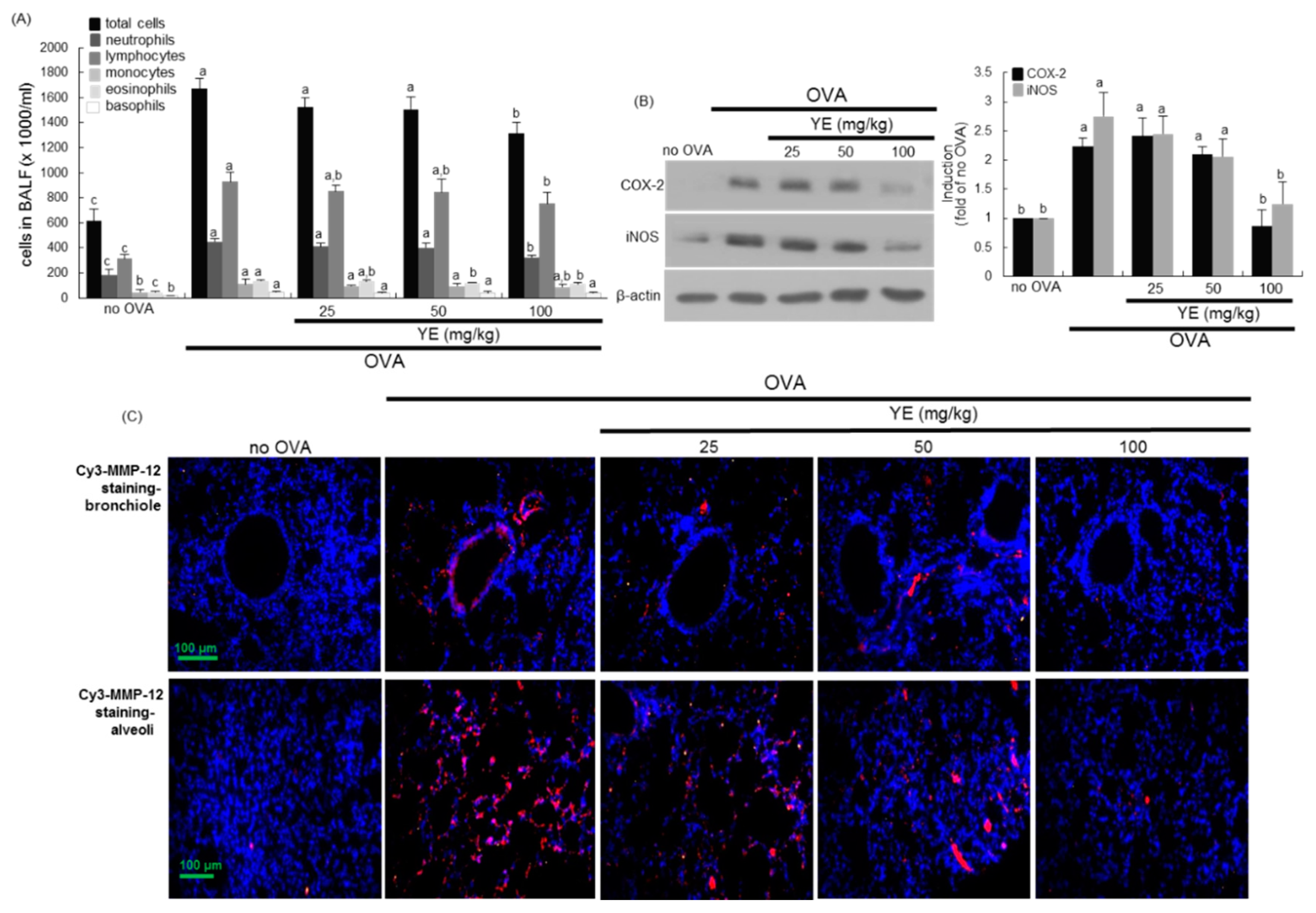Antioxidants 08 00349 g006
