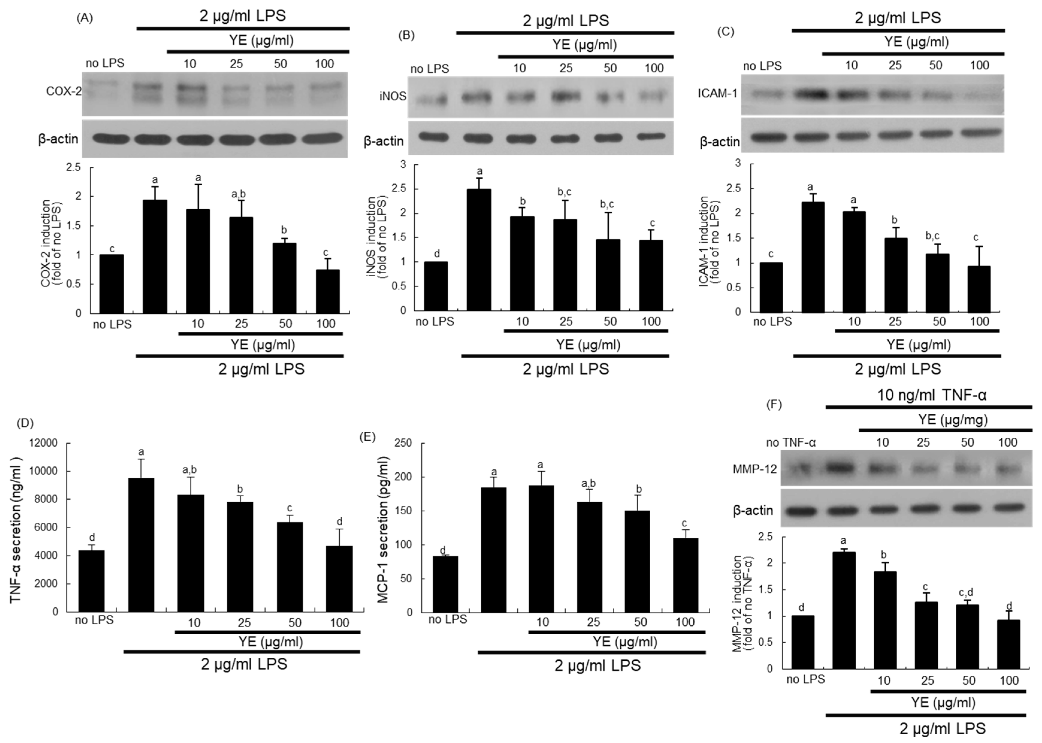 Antioxidants 08 00349 g007