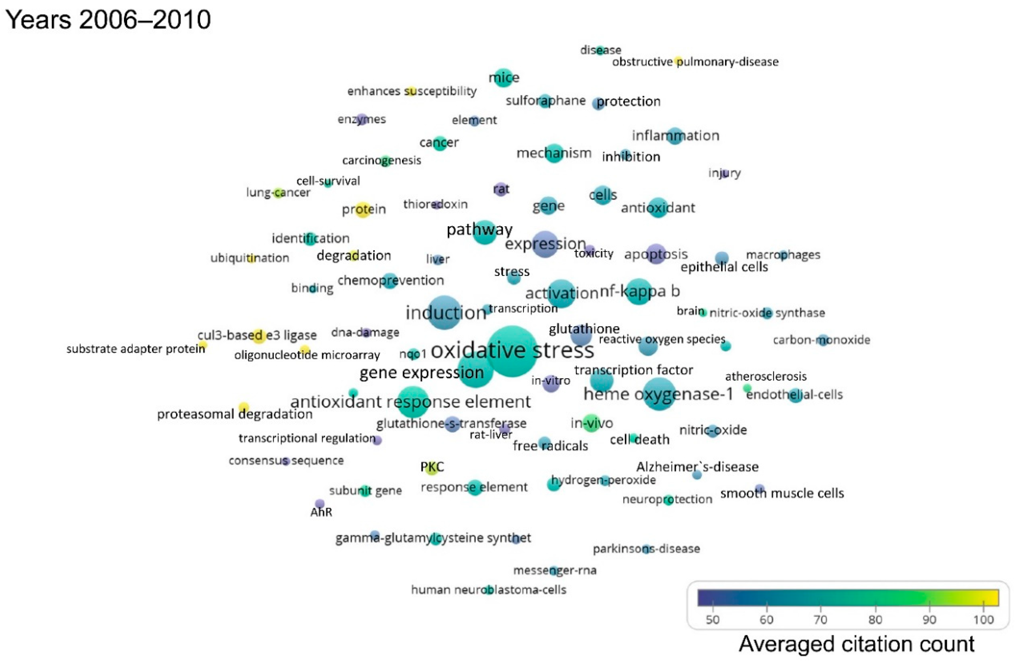 Antioxidants 08 00353 g003