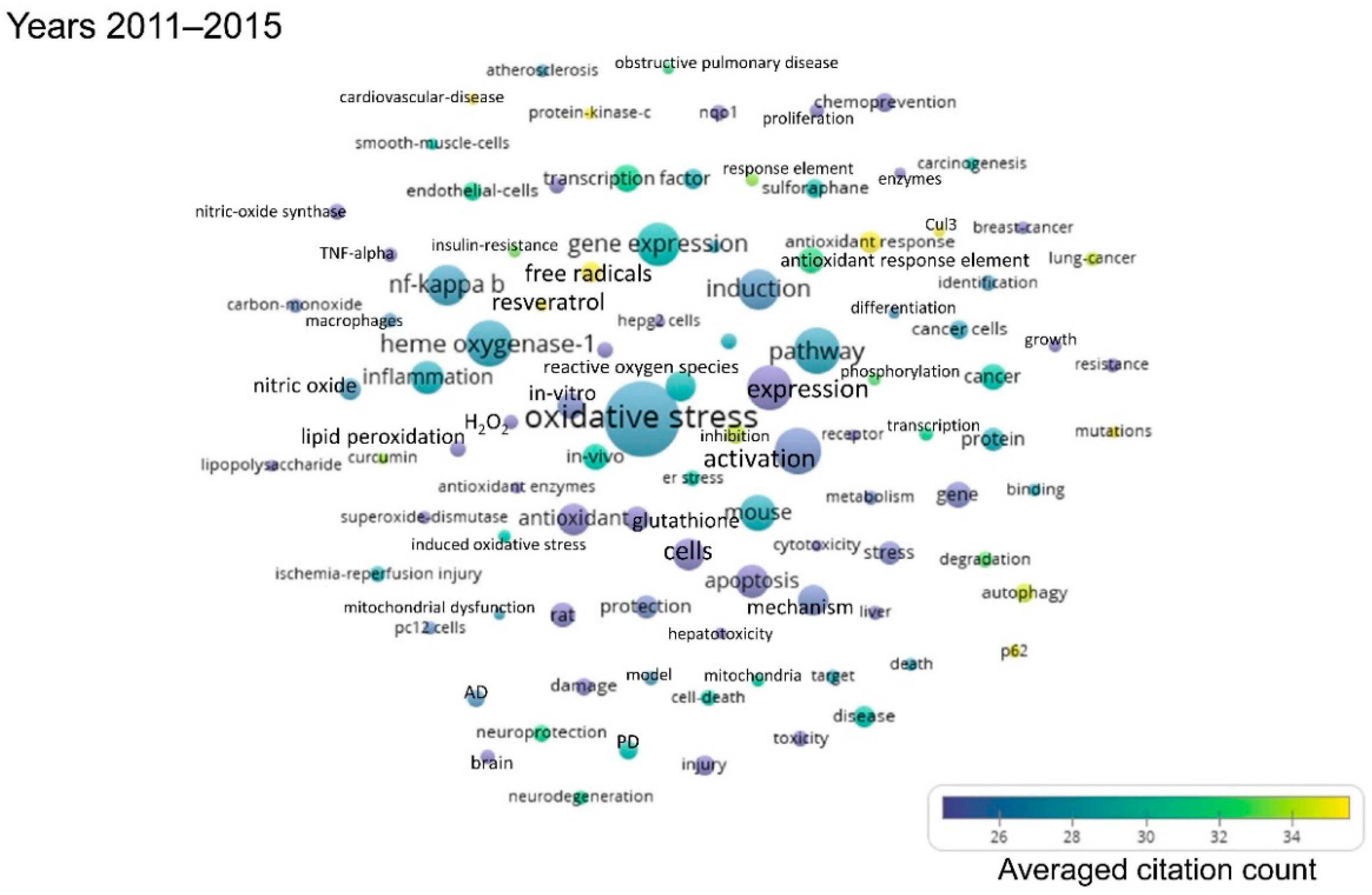 Antioxidants 08 00353 g004