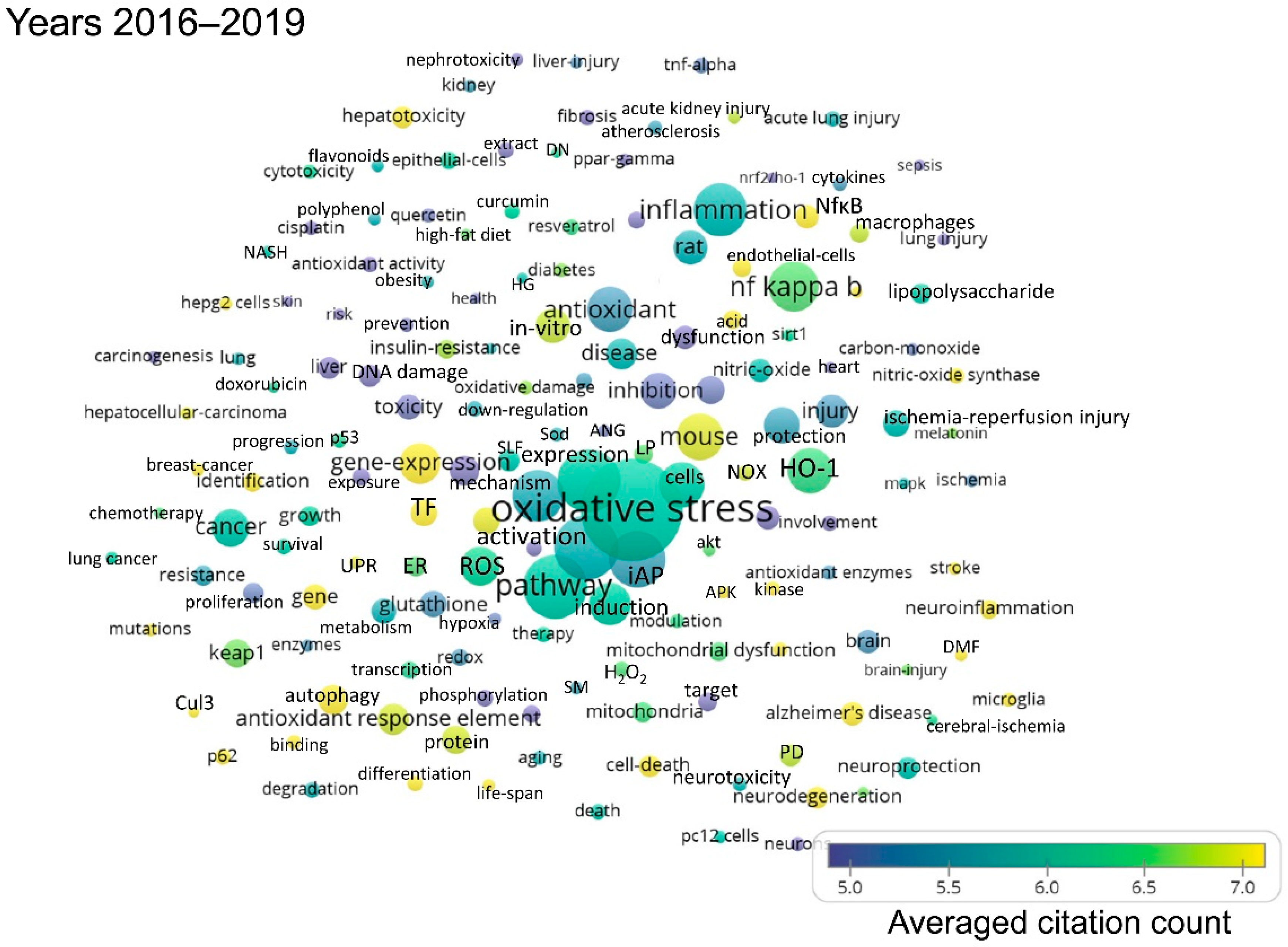 Antioxidants 08 00353 g005