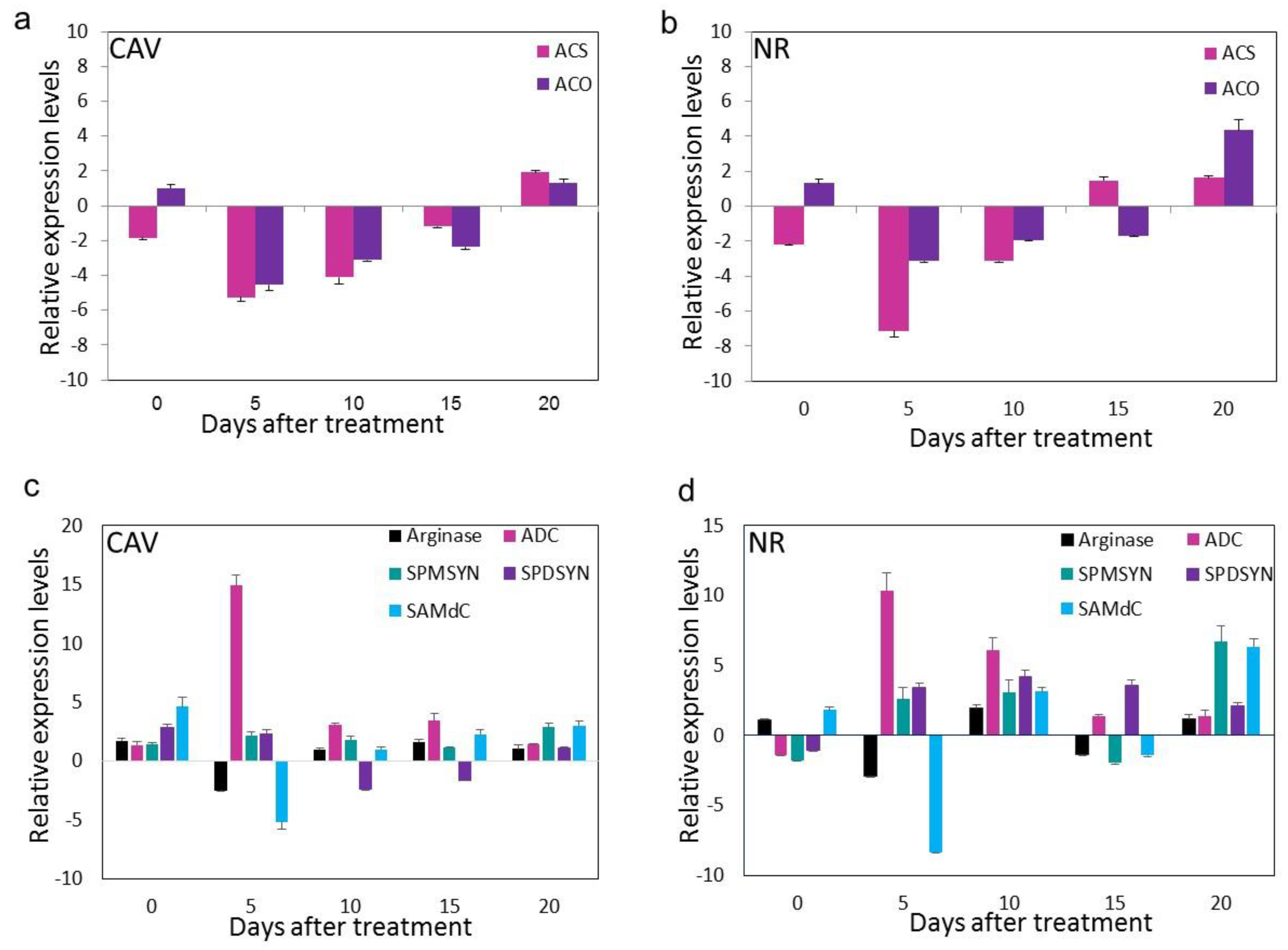Antioxidants 08 00358 g006