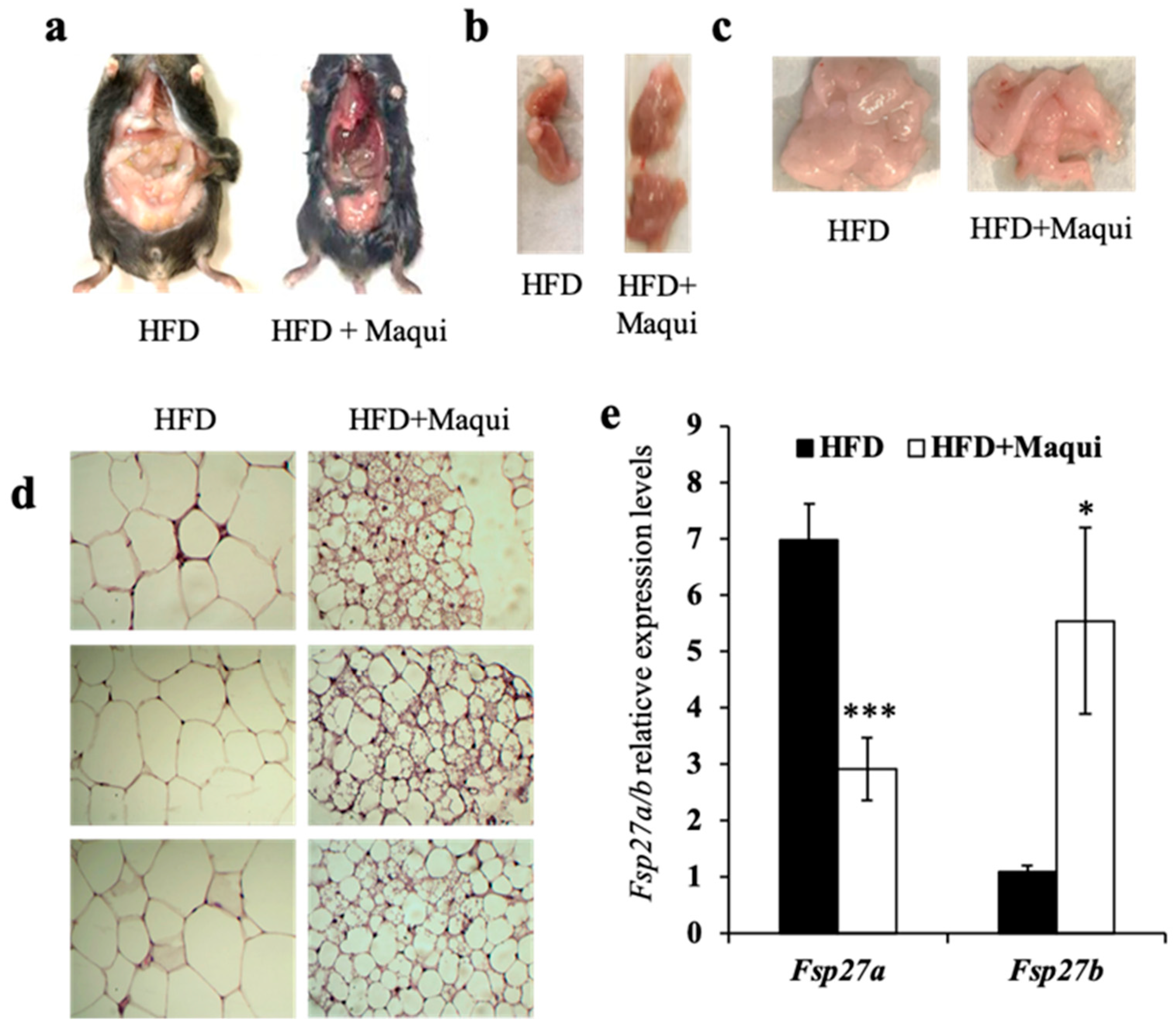 Antioxidants 08 00360 g002