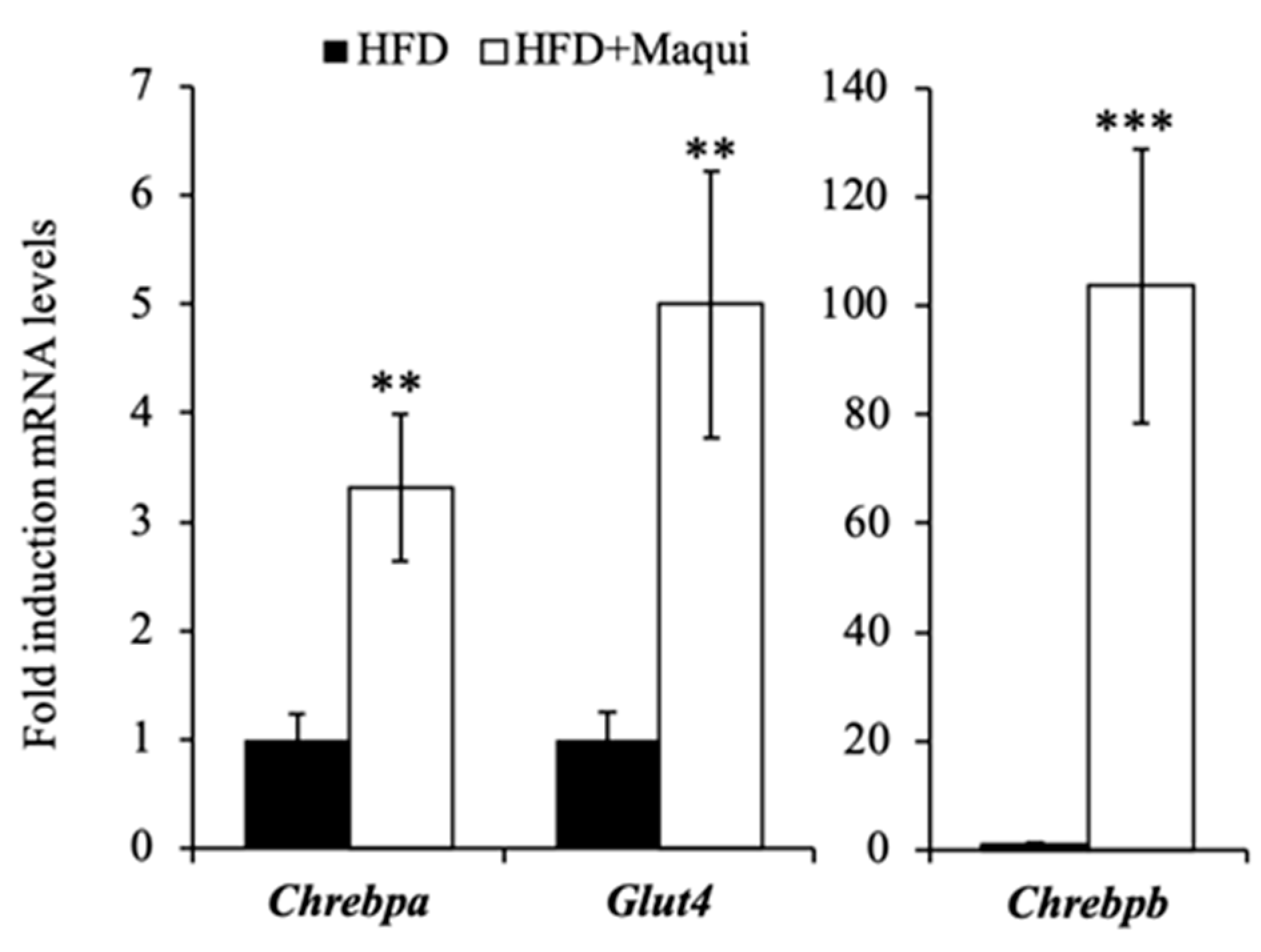 Antioxidants 08 00360 g004