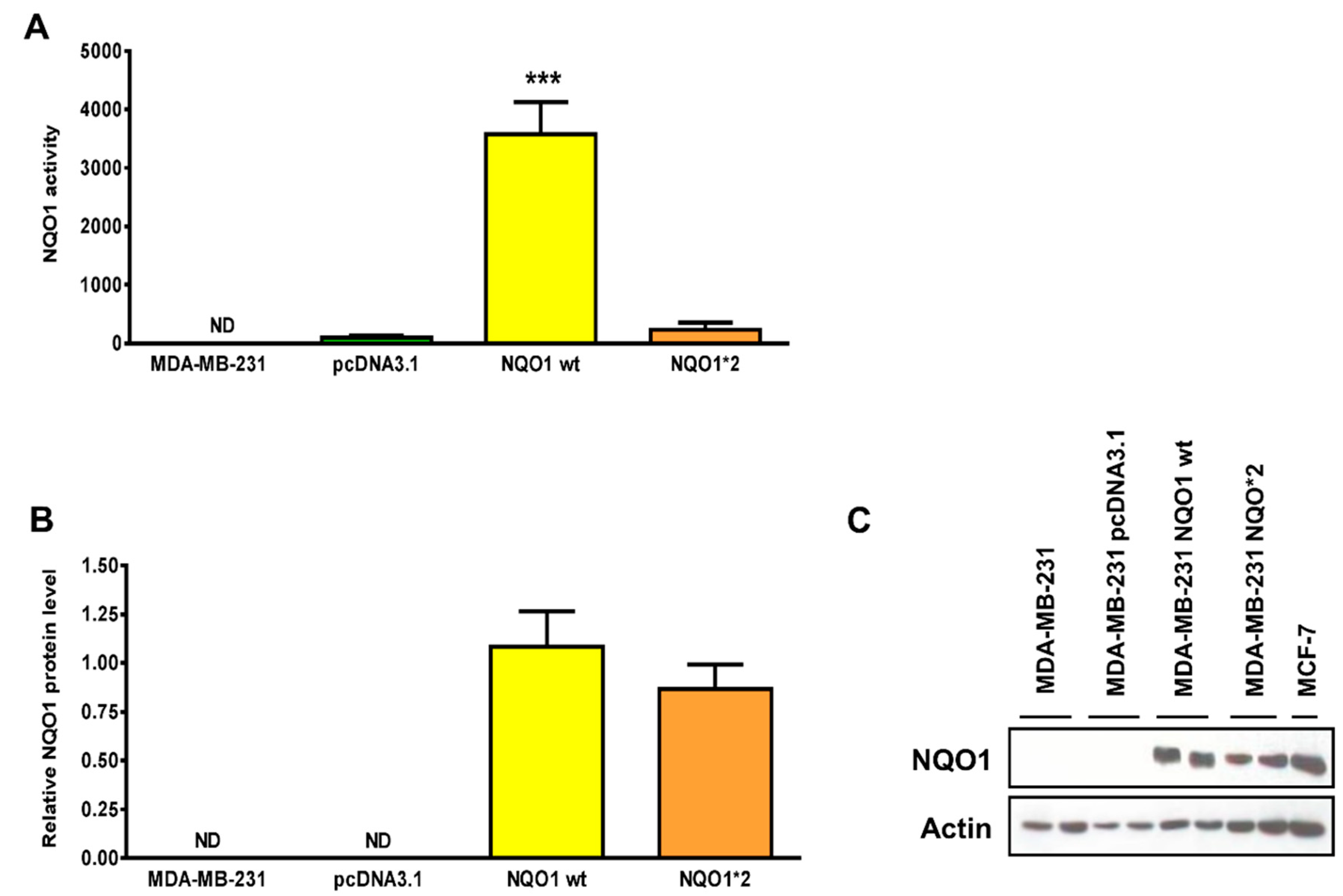 Antioxidants 08 00369 g004