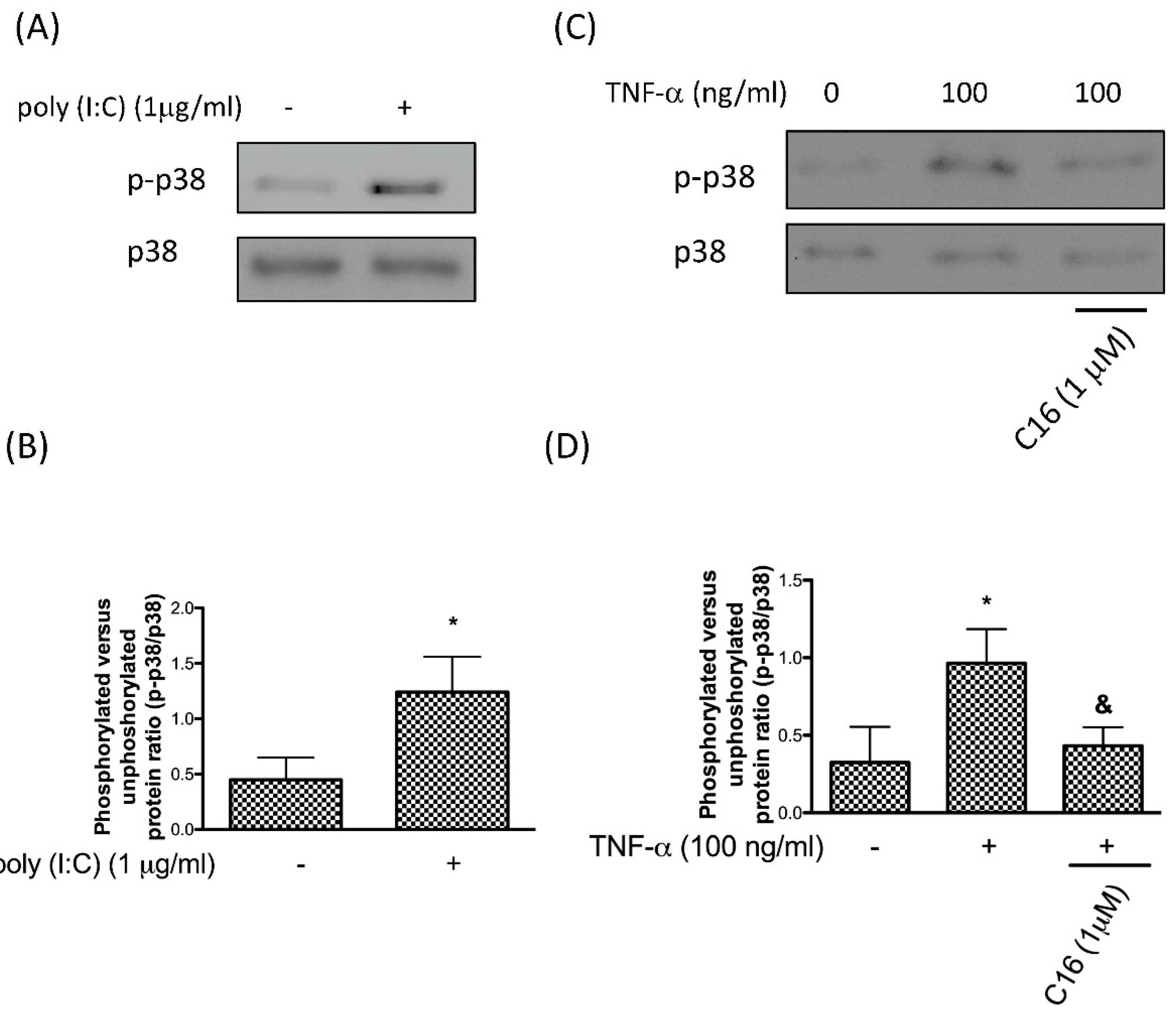 Antioxidants 08 00370 g001