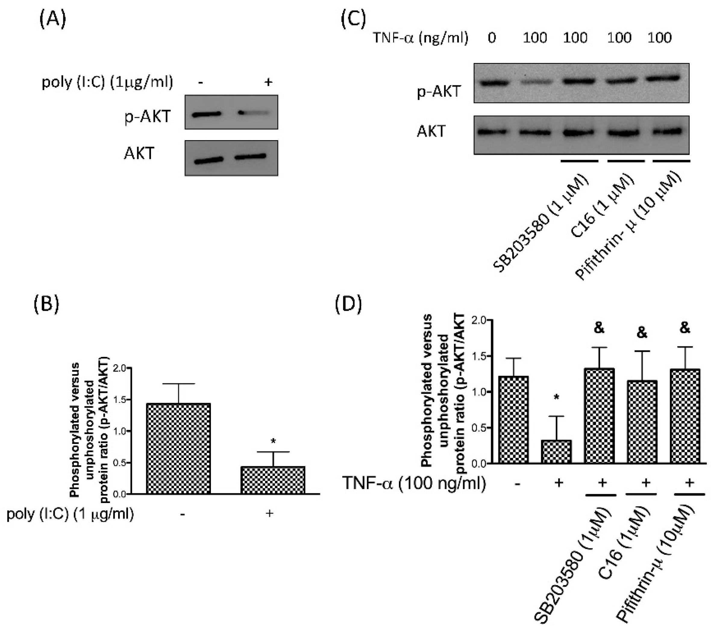 Antioxidants 08 00370 g003