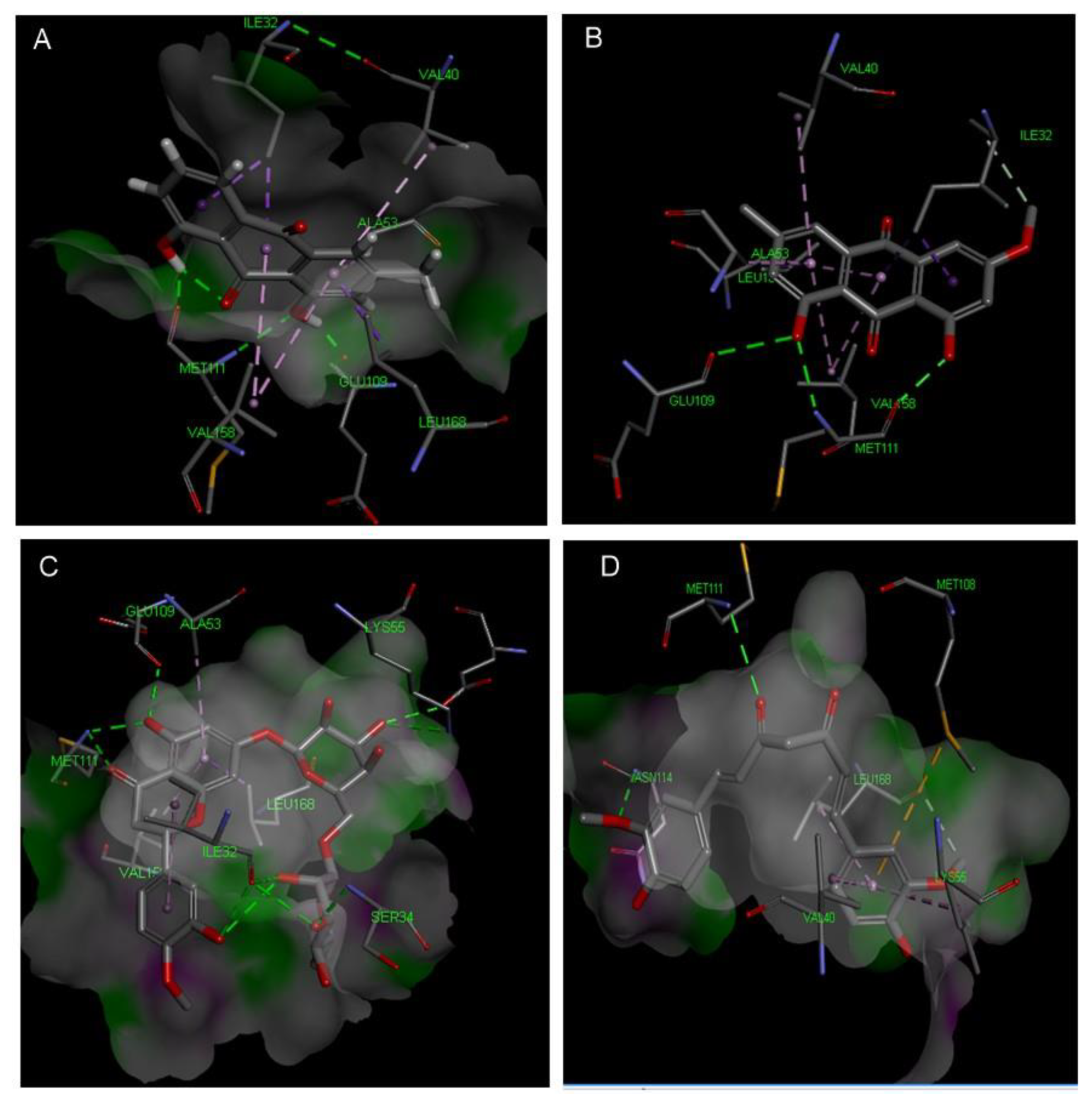 Antioxidants 08 00371 g008