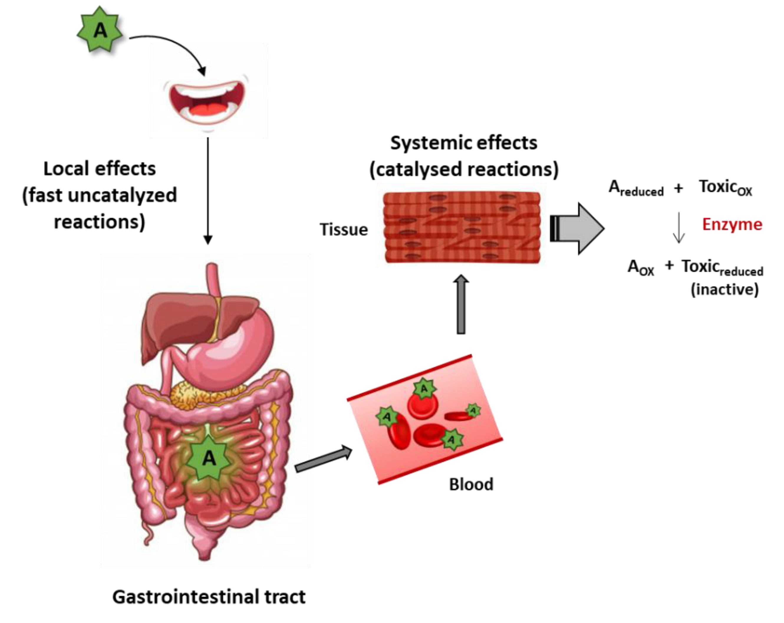 Antioxidants 08 00373 g001