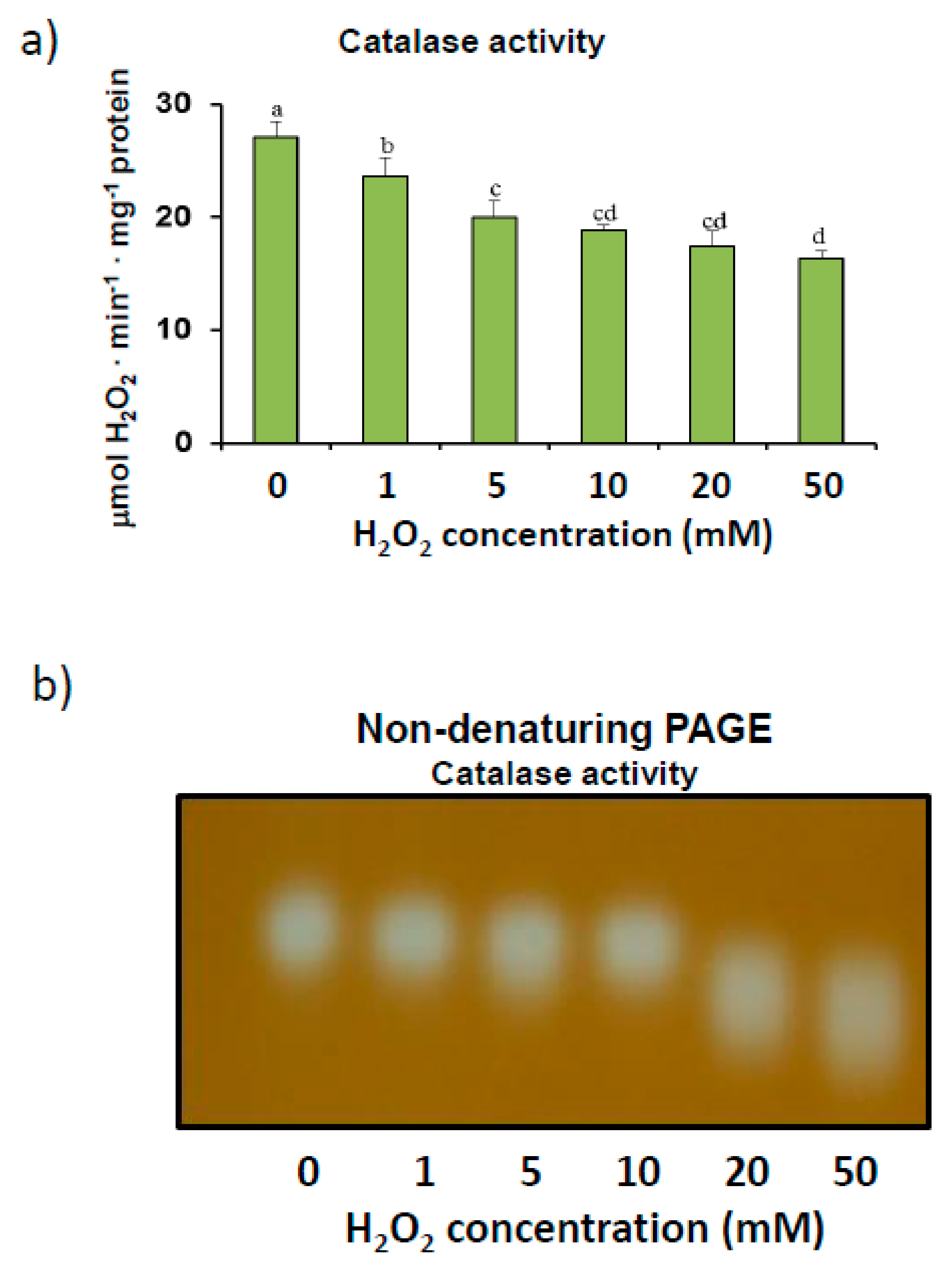 Antioxidants 08 00374 g002