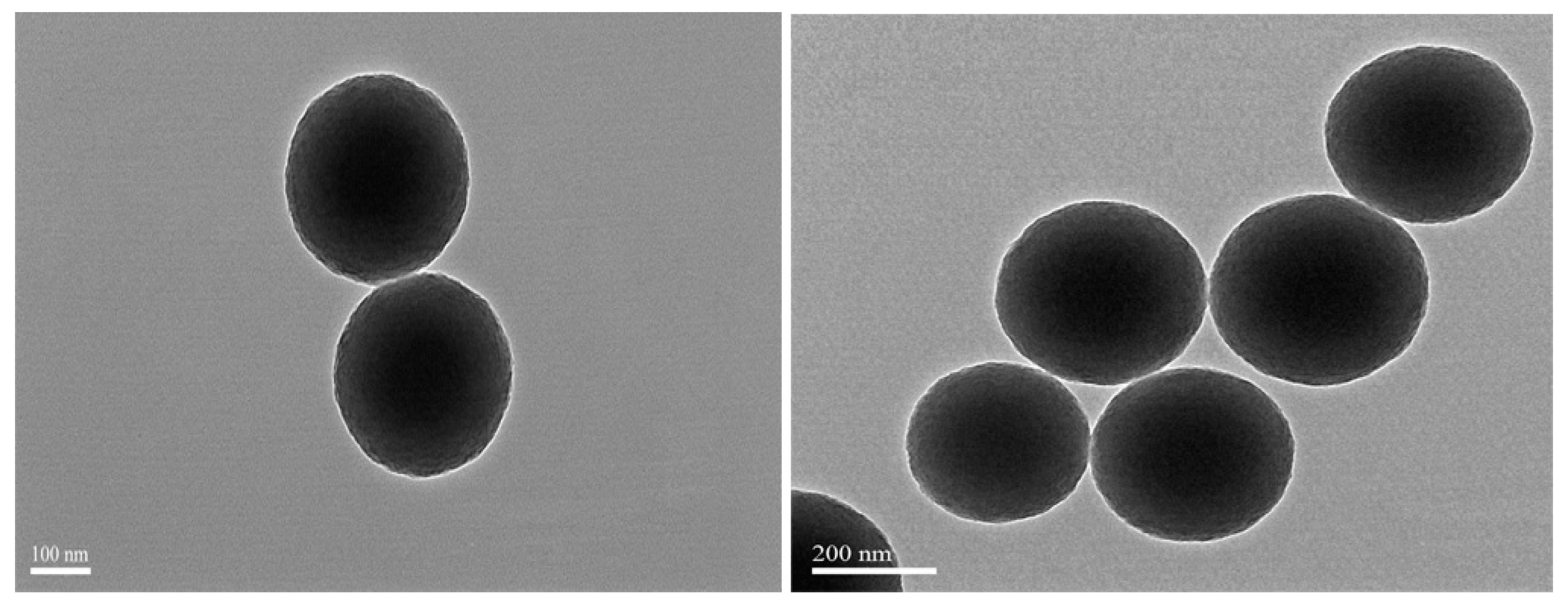 Antioxidants 08 00375 g002