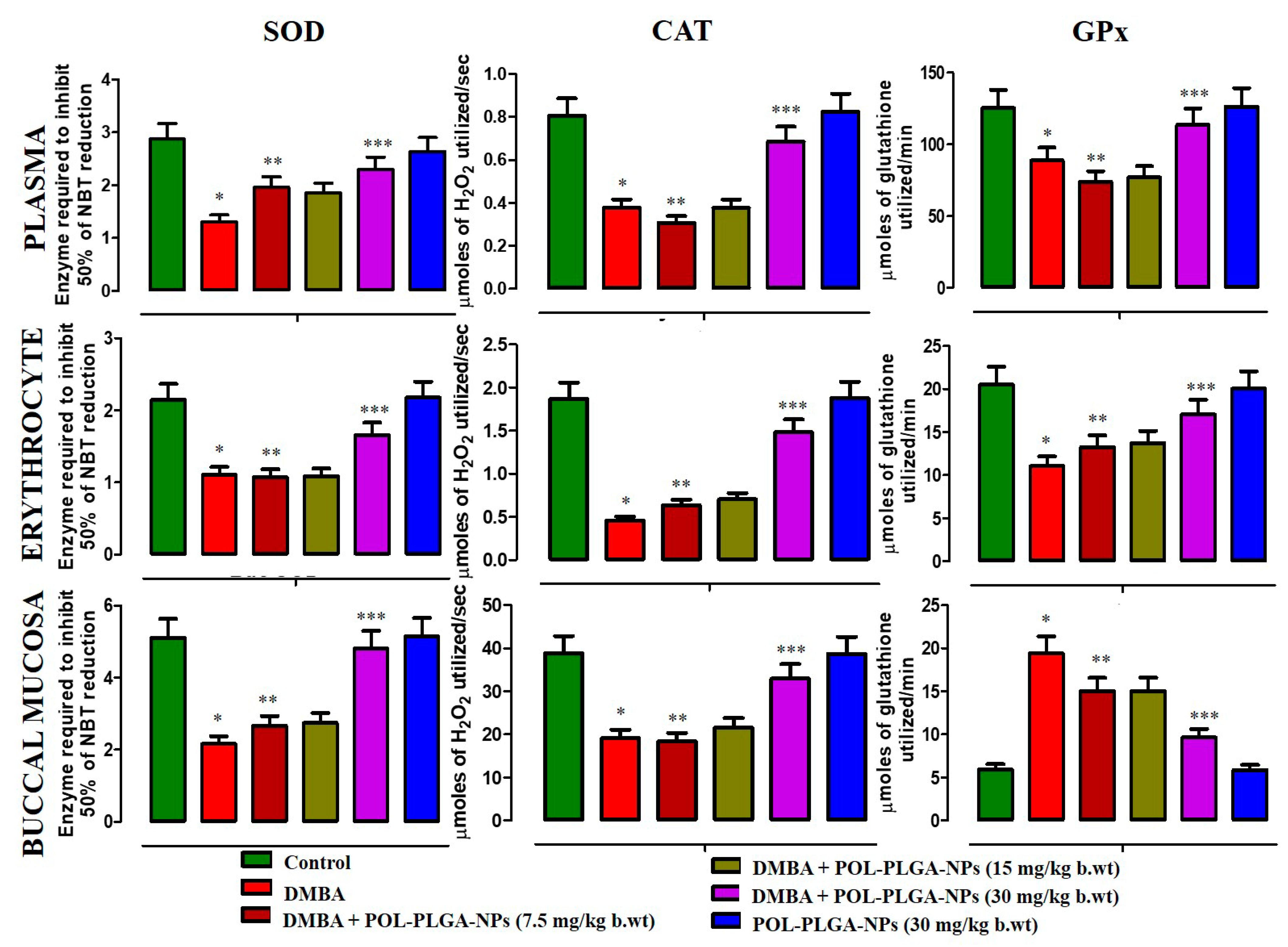 Antioxidants 08 00375 g008