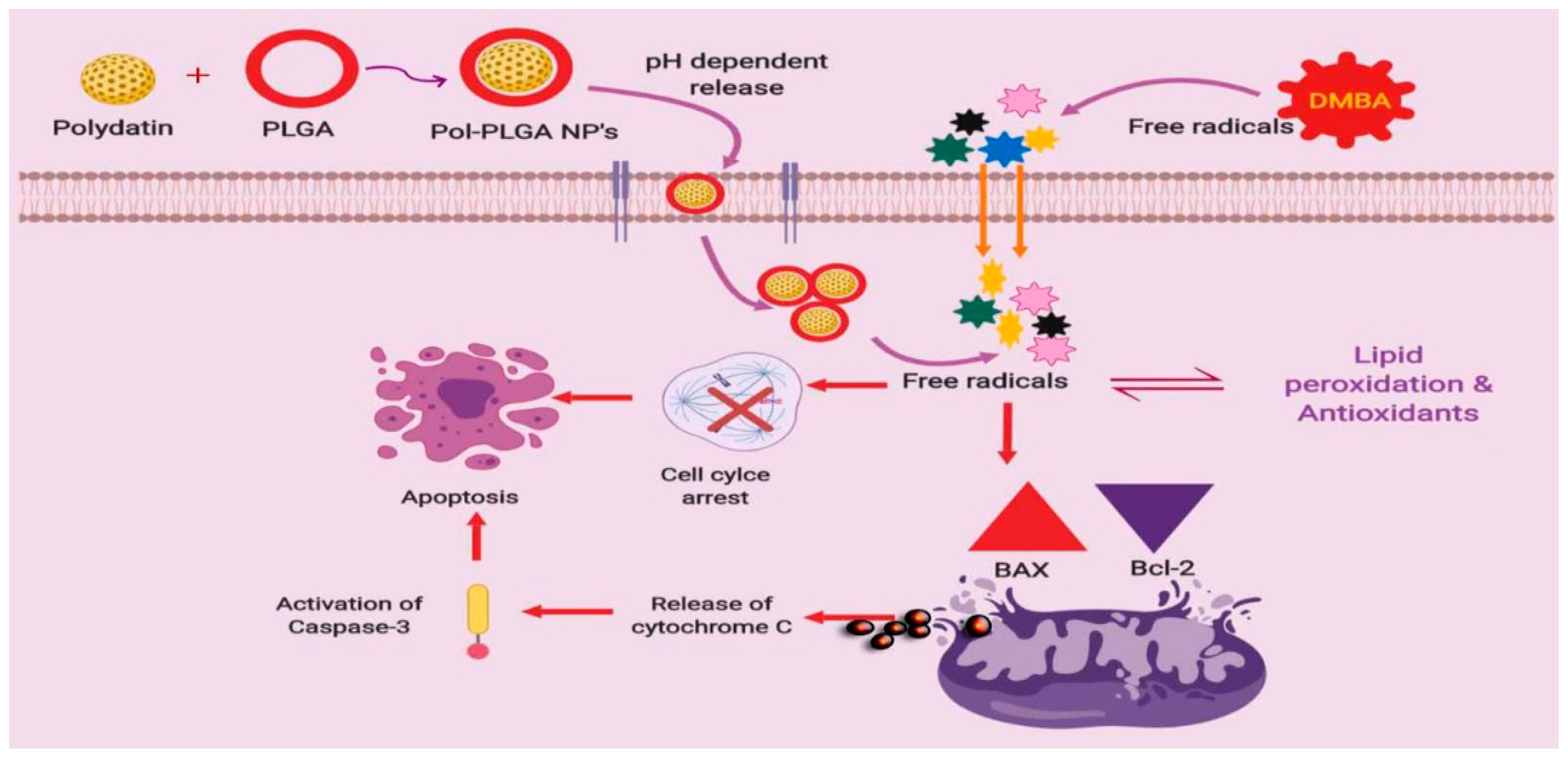 Antioxidants 08 00375 sch001