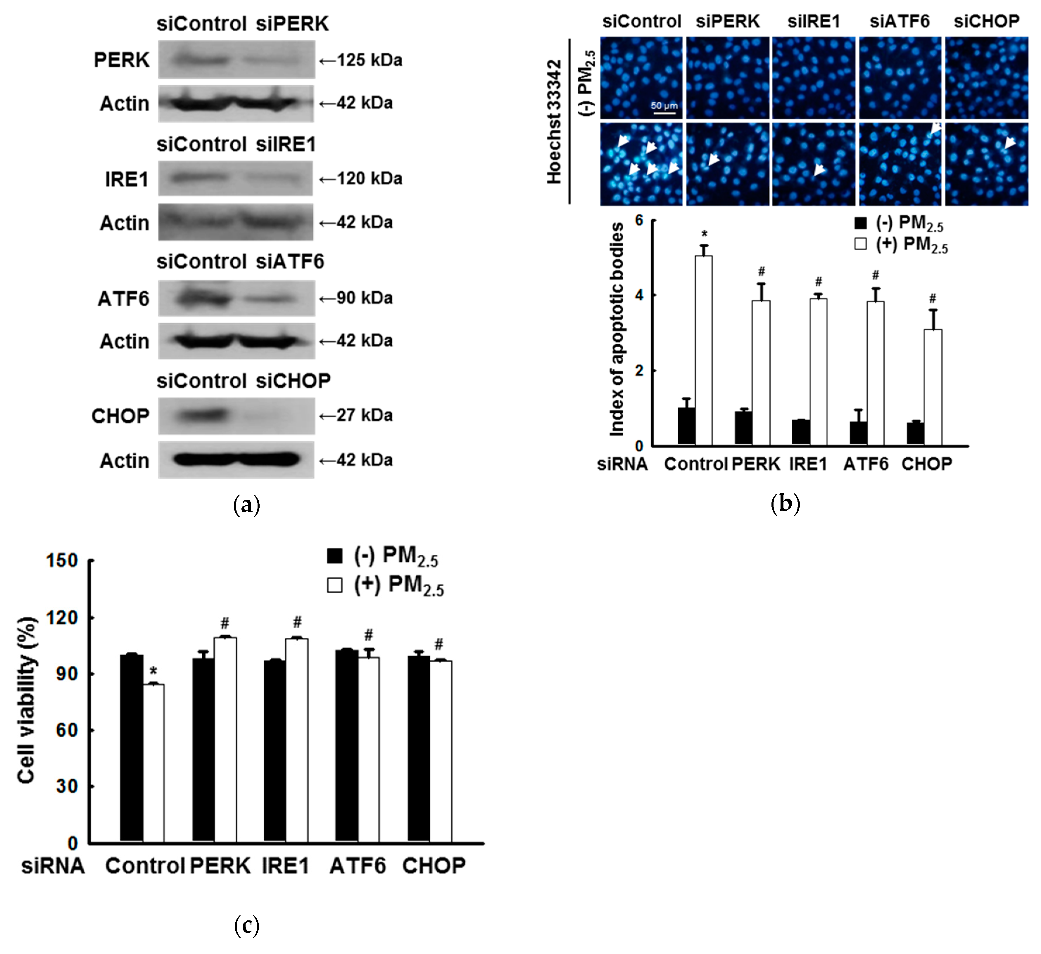 Antioxidants 08 00383 g001 Antioxidants 08 00383 g001