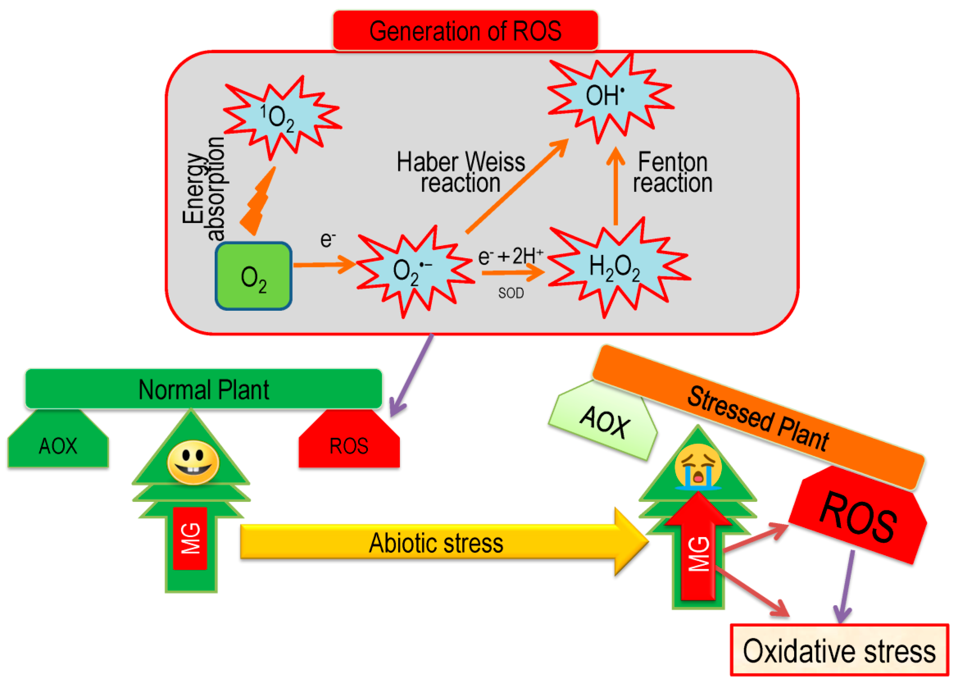 Antioxidants 08 00384 g008