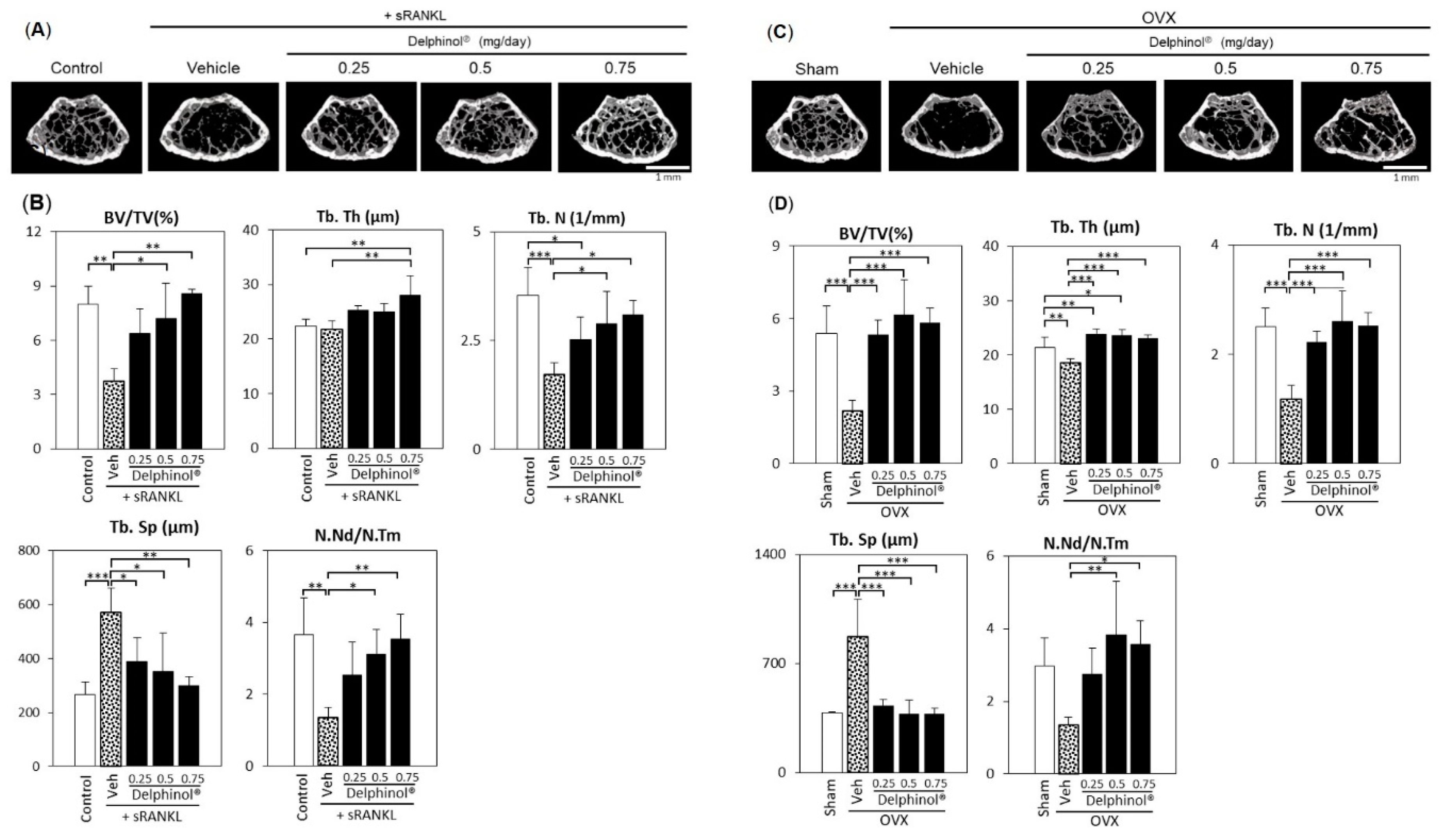 Antioxidants 08 00386 g006 Antioxidants 08 00386 g006